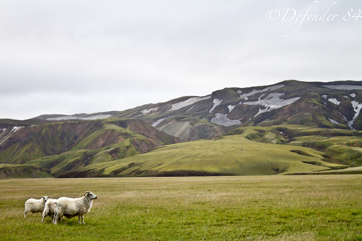 landmannalaugar, islanda