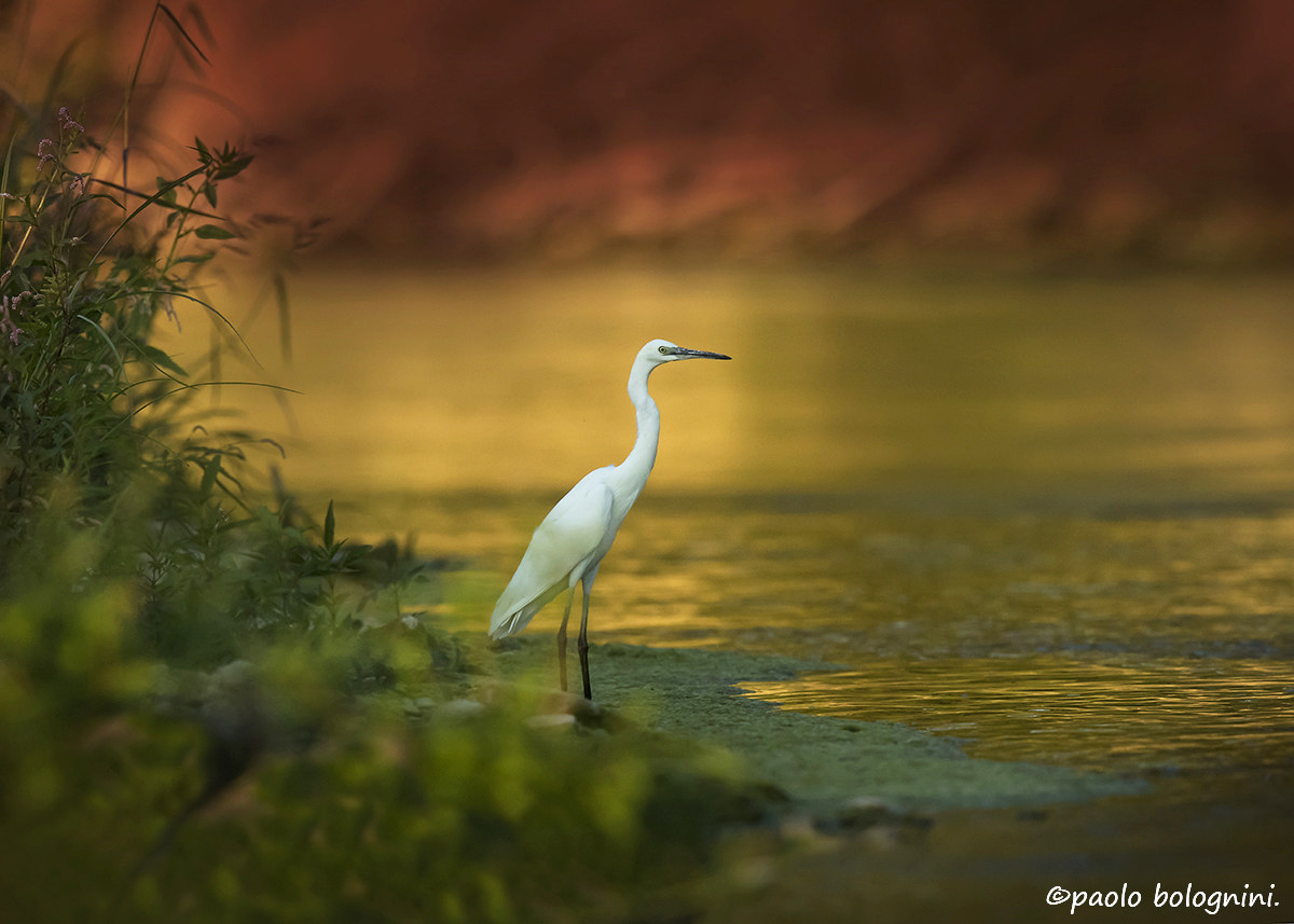 L'Autunno del Fiume Esino (an)