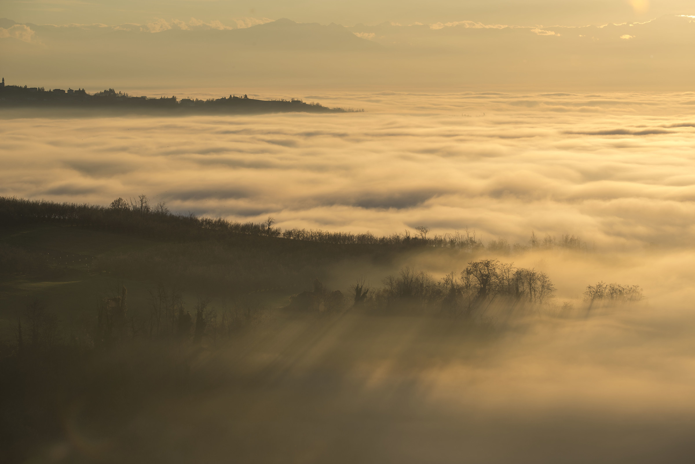 Controluce nella nebbia 2