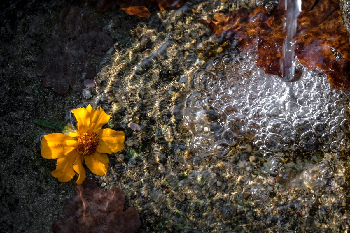 alla deriva..............