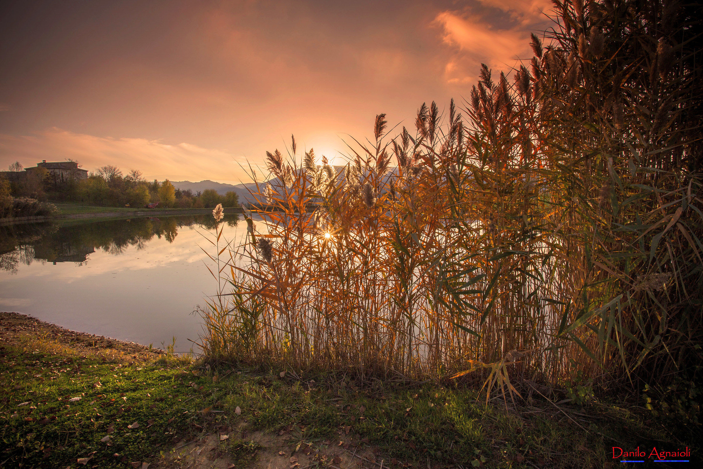 Ognuno sta da solo sul cuor della terra.