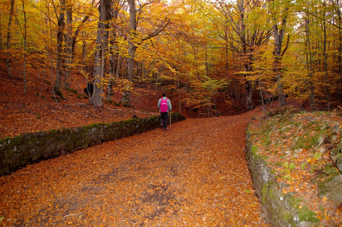 colori dell'Etna