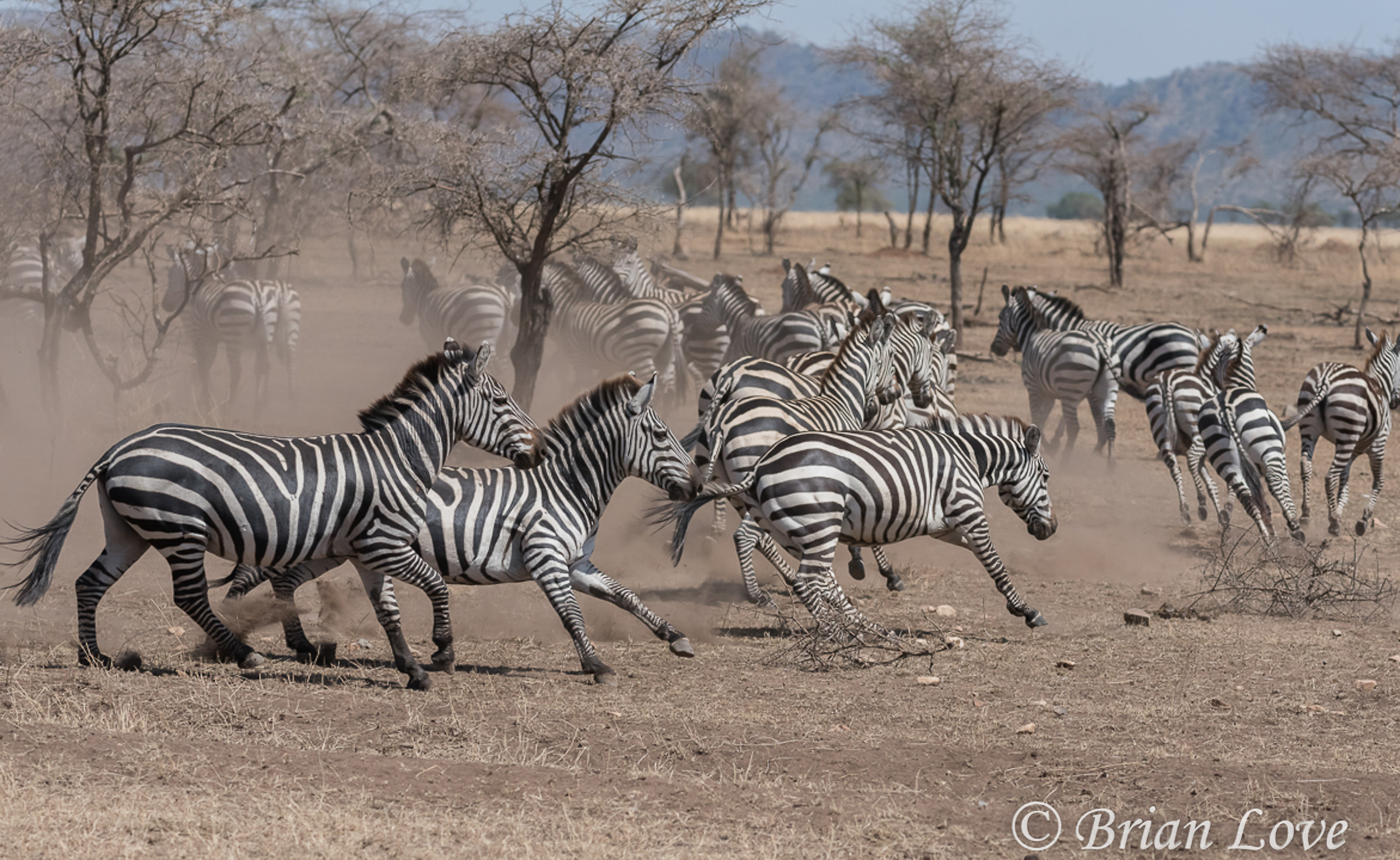 Time To Hit The Road