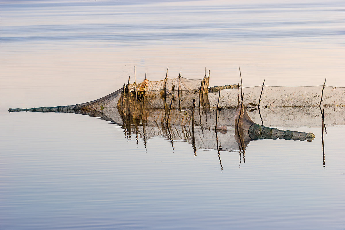 Laguna pesca a reti ferme