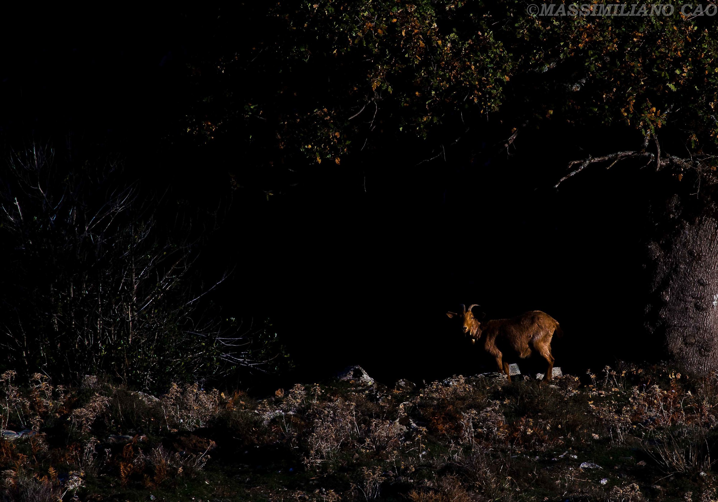 One last look before anything