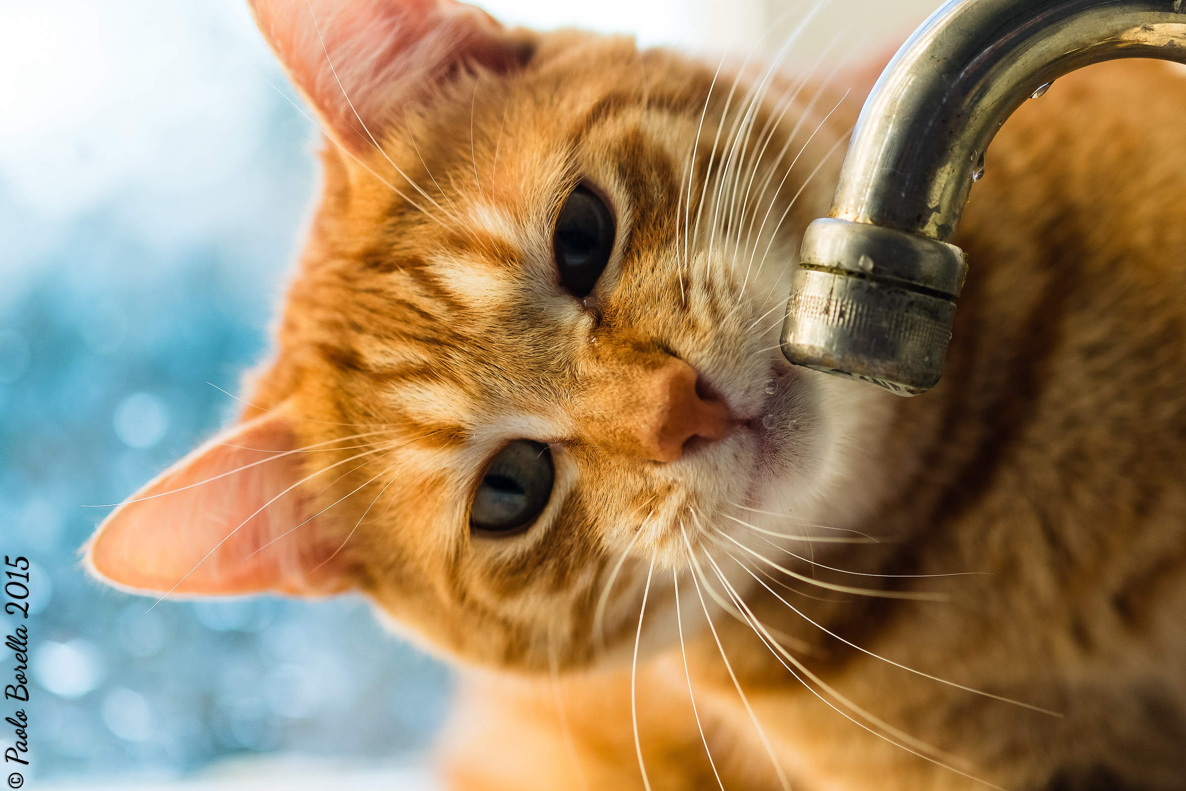 TaiChi e le tre gocce