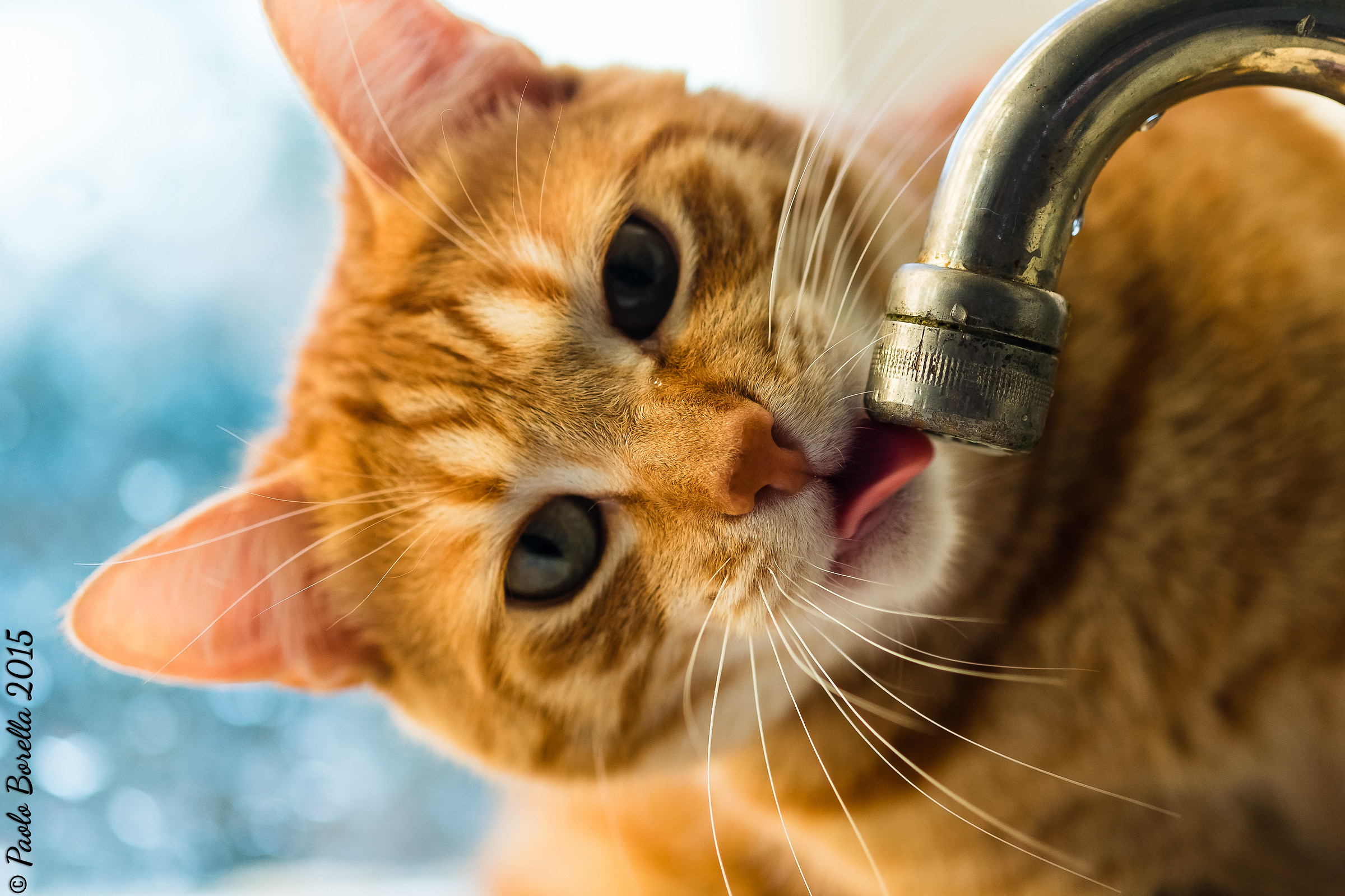 TaiChi and the end of the drops