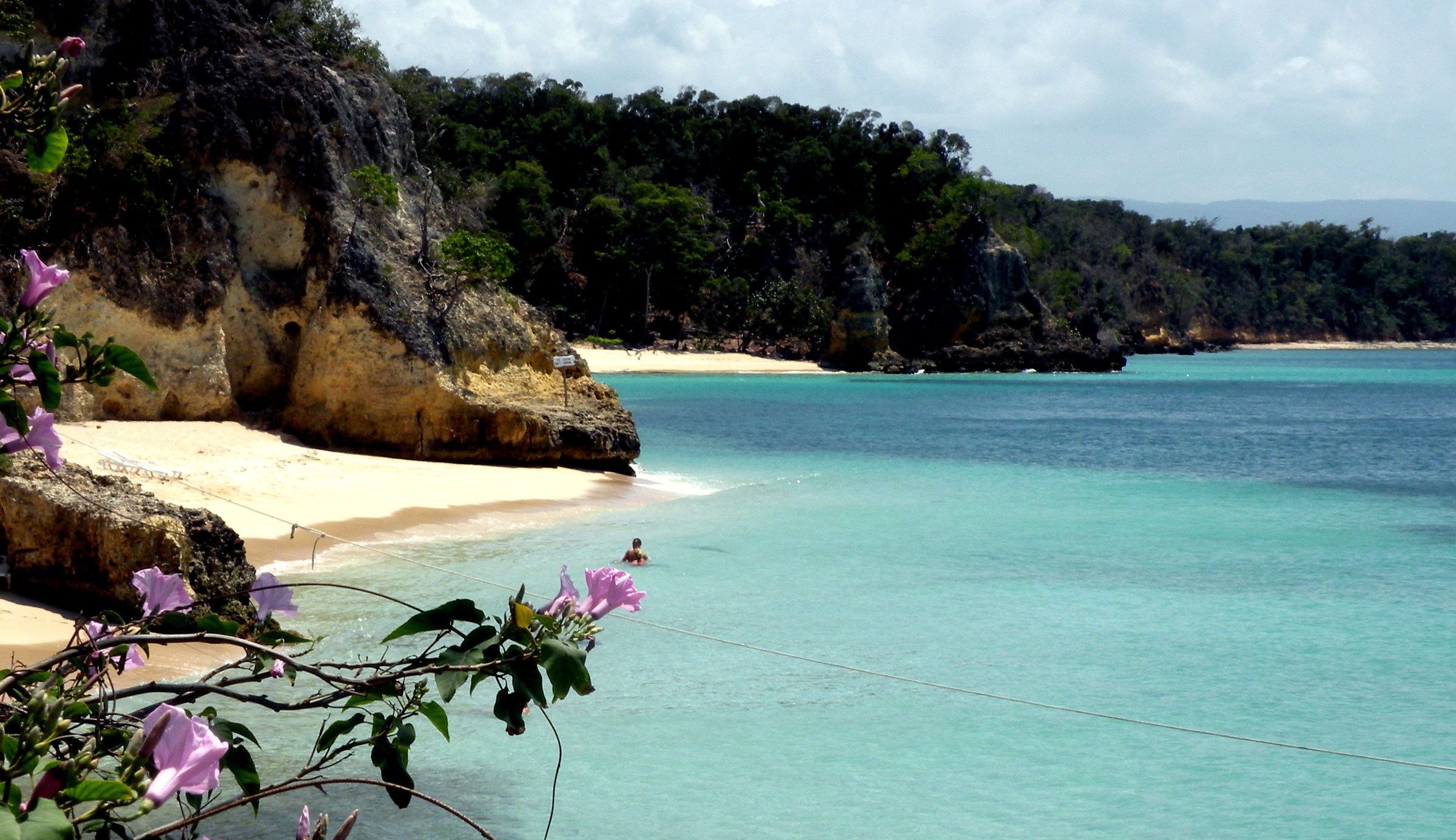 Desire to distant beaches