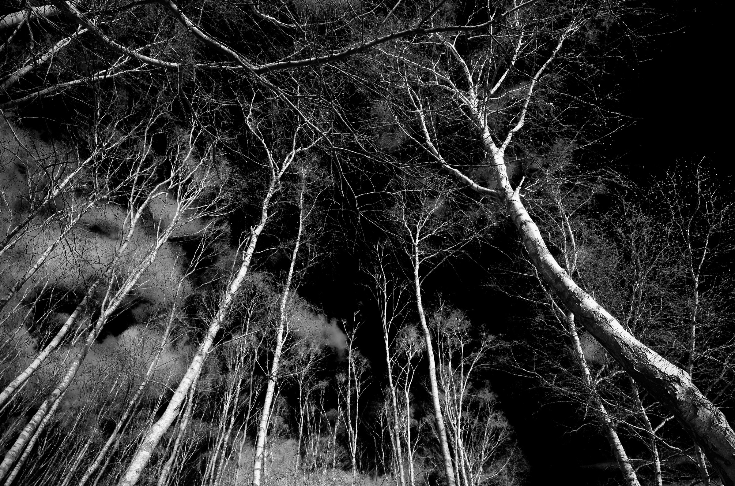 Reach for the Sky...