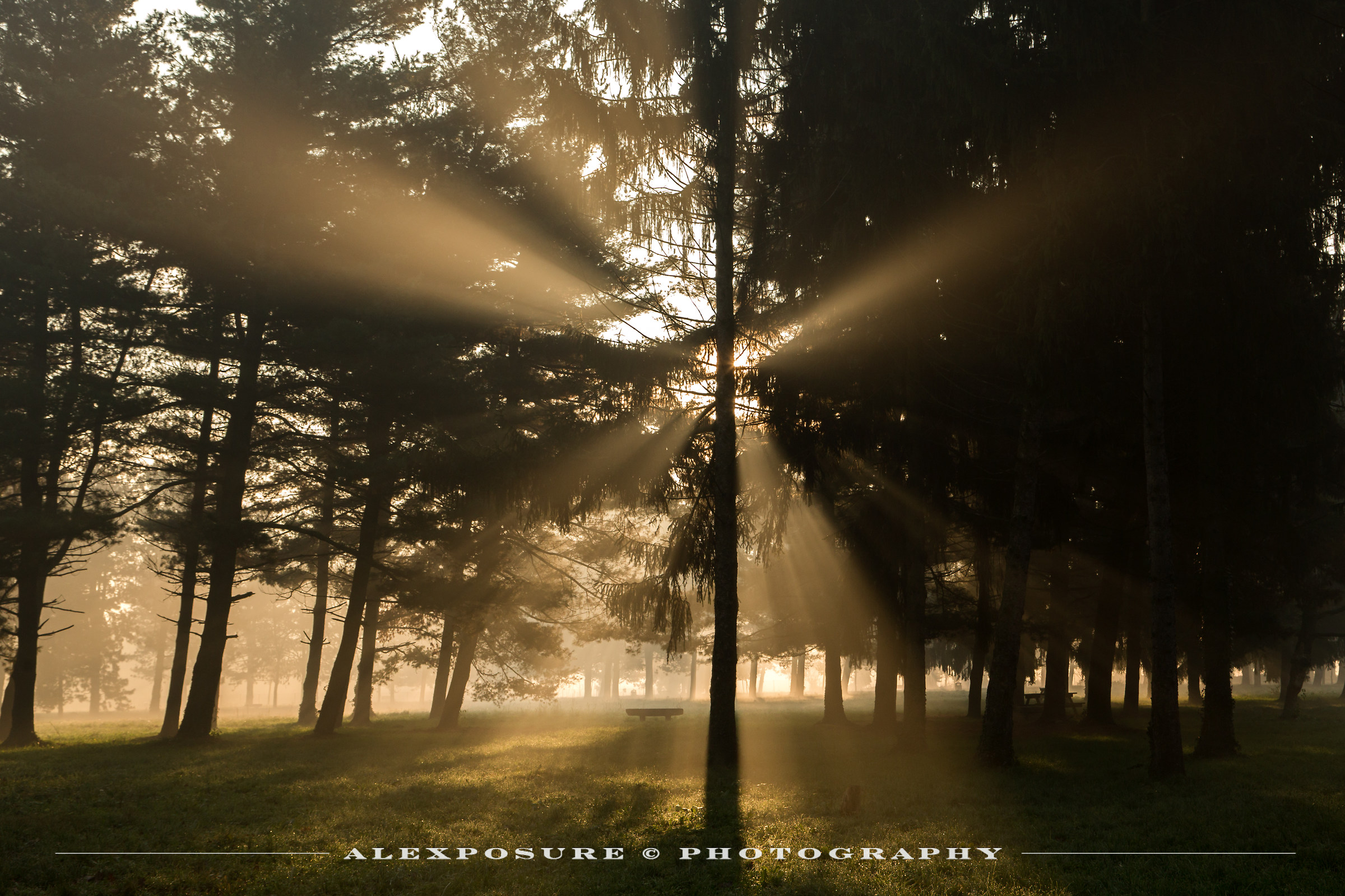 An obstacle on the path towards the light