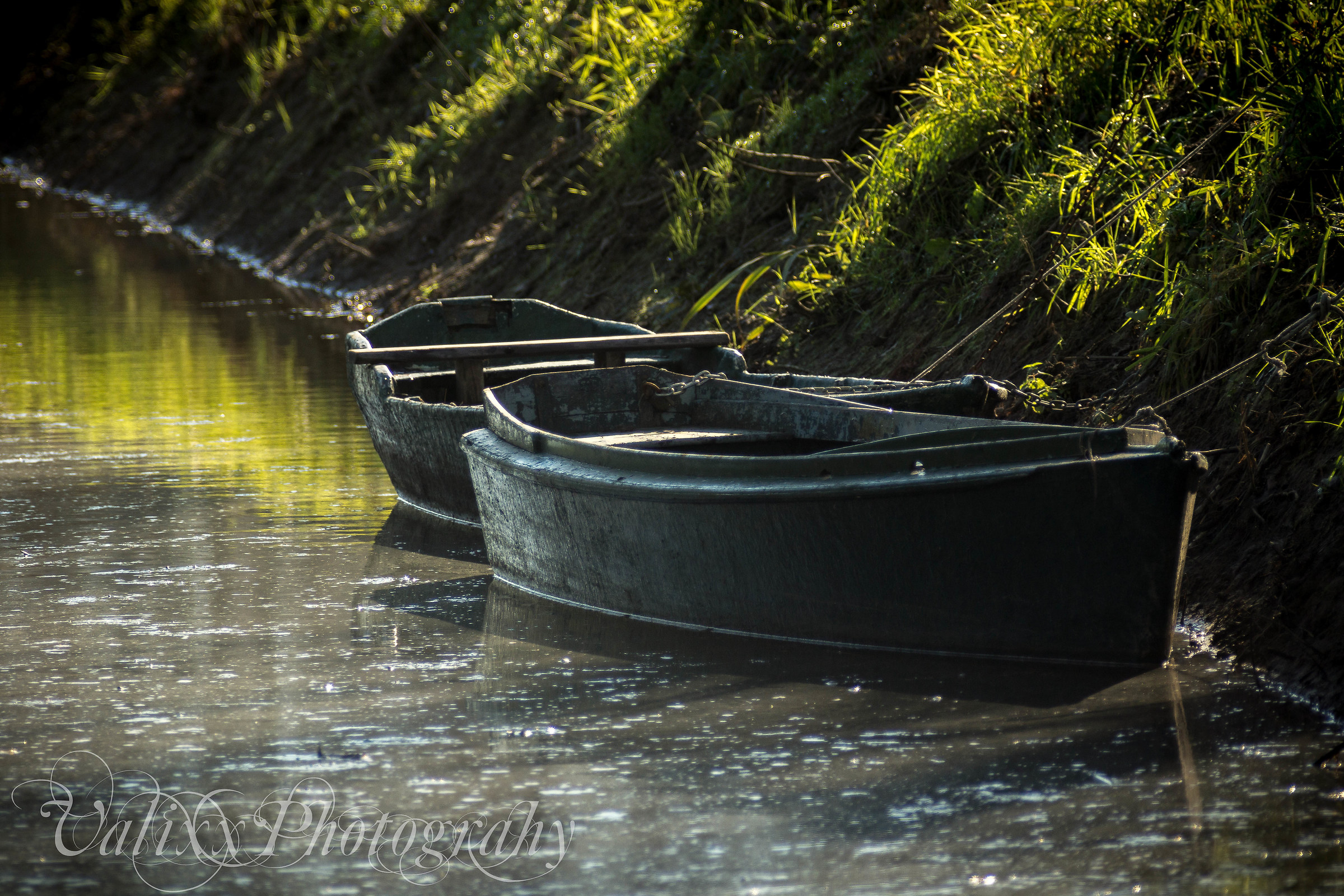 punt marshes fucecchio