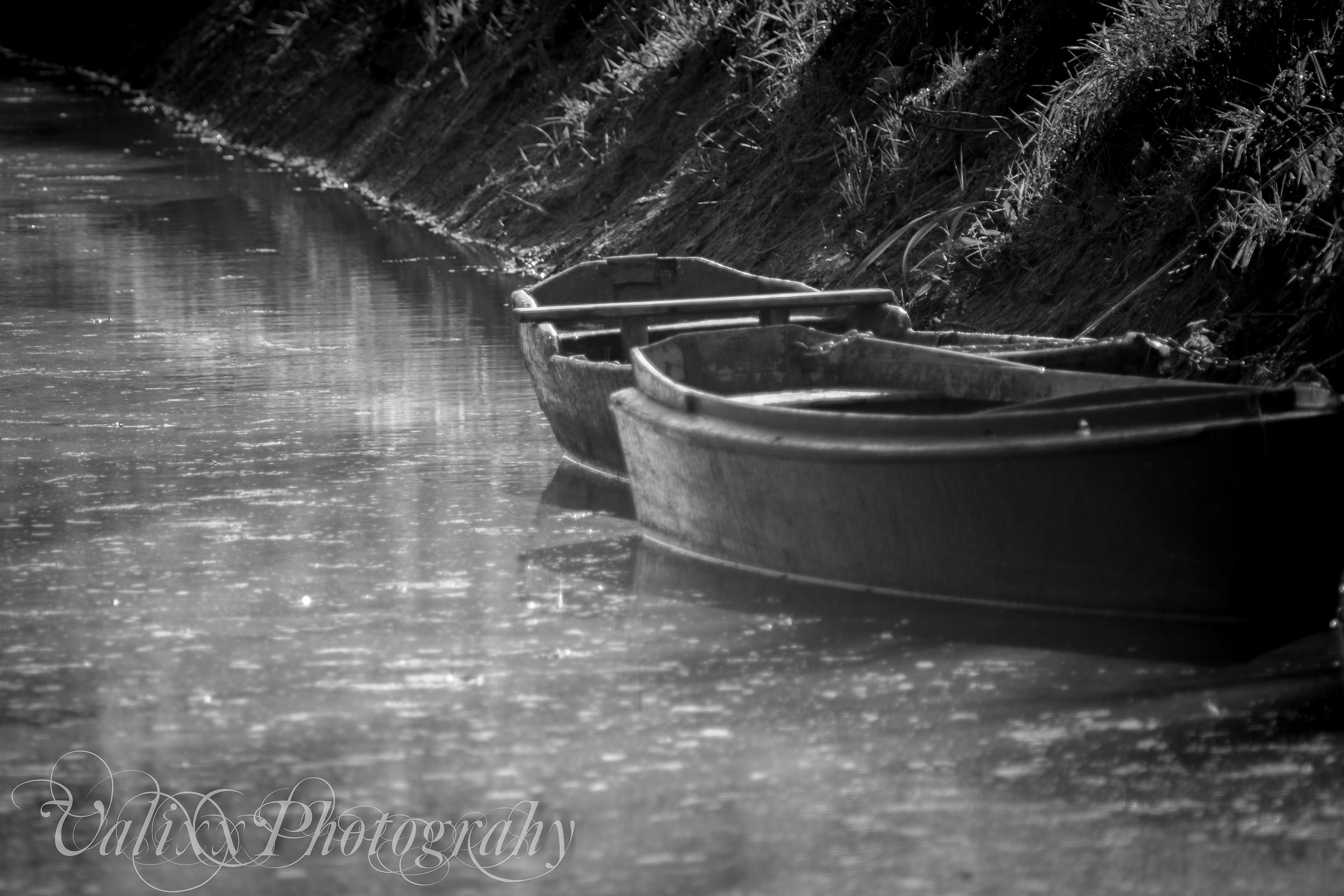 punt marshes fucecchio b / n