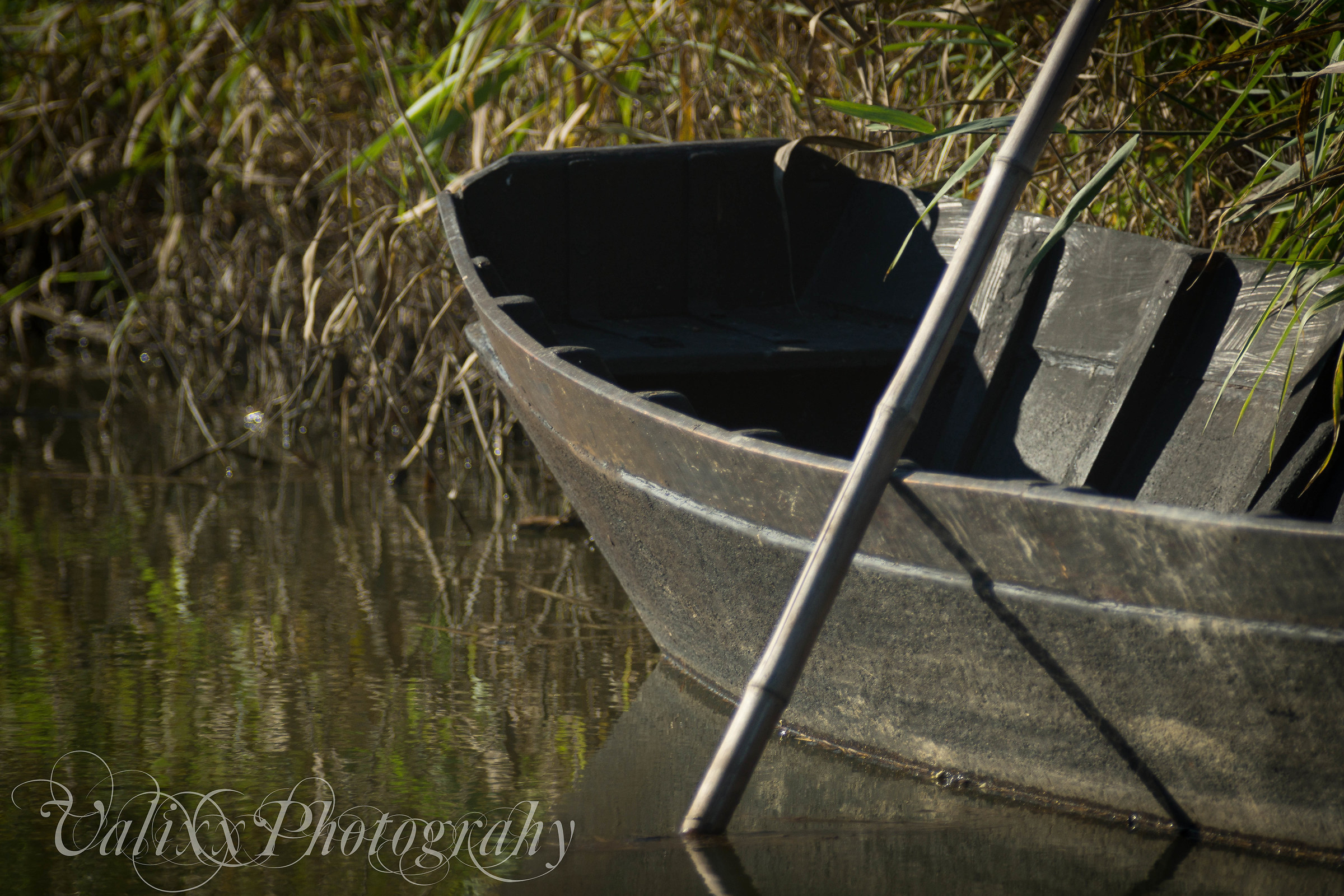punt marshes fucecchio