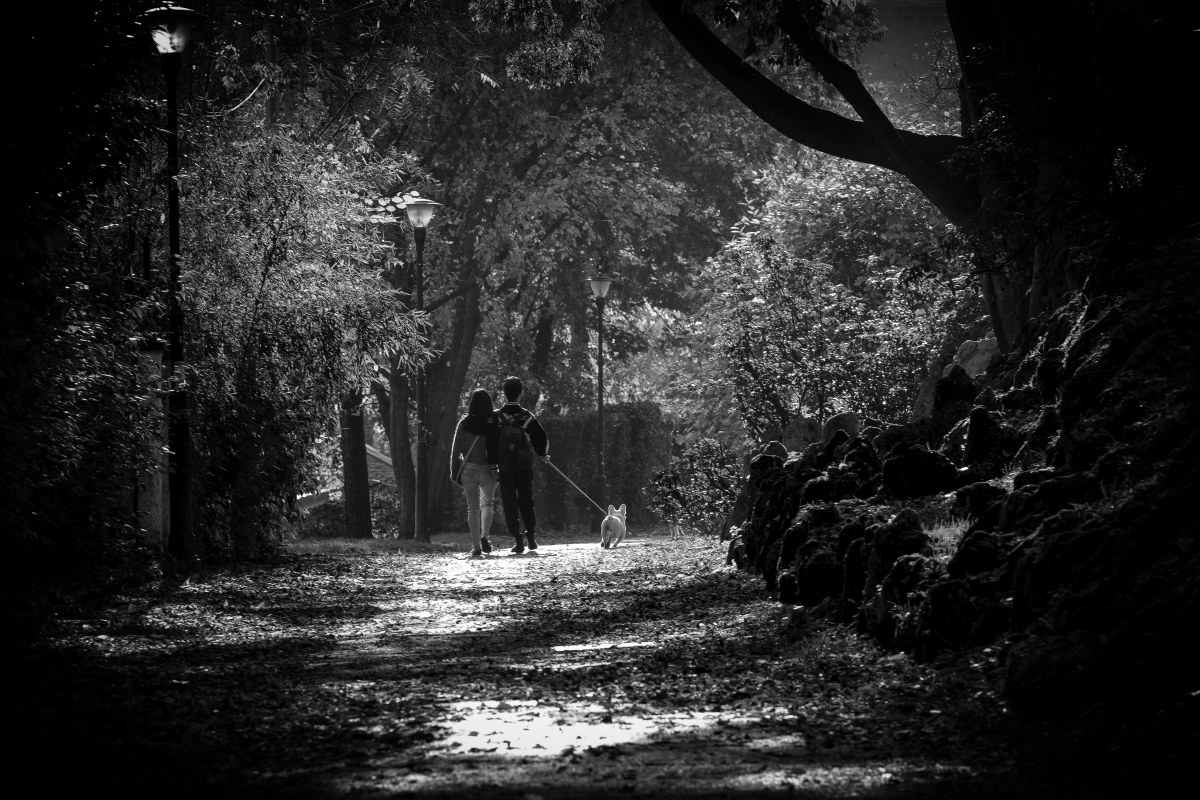 io tu ed il tuo cane boo..........................