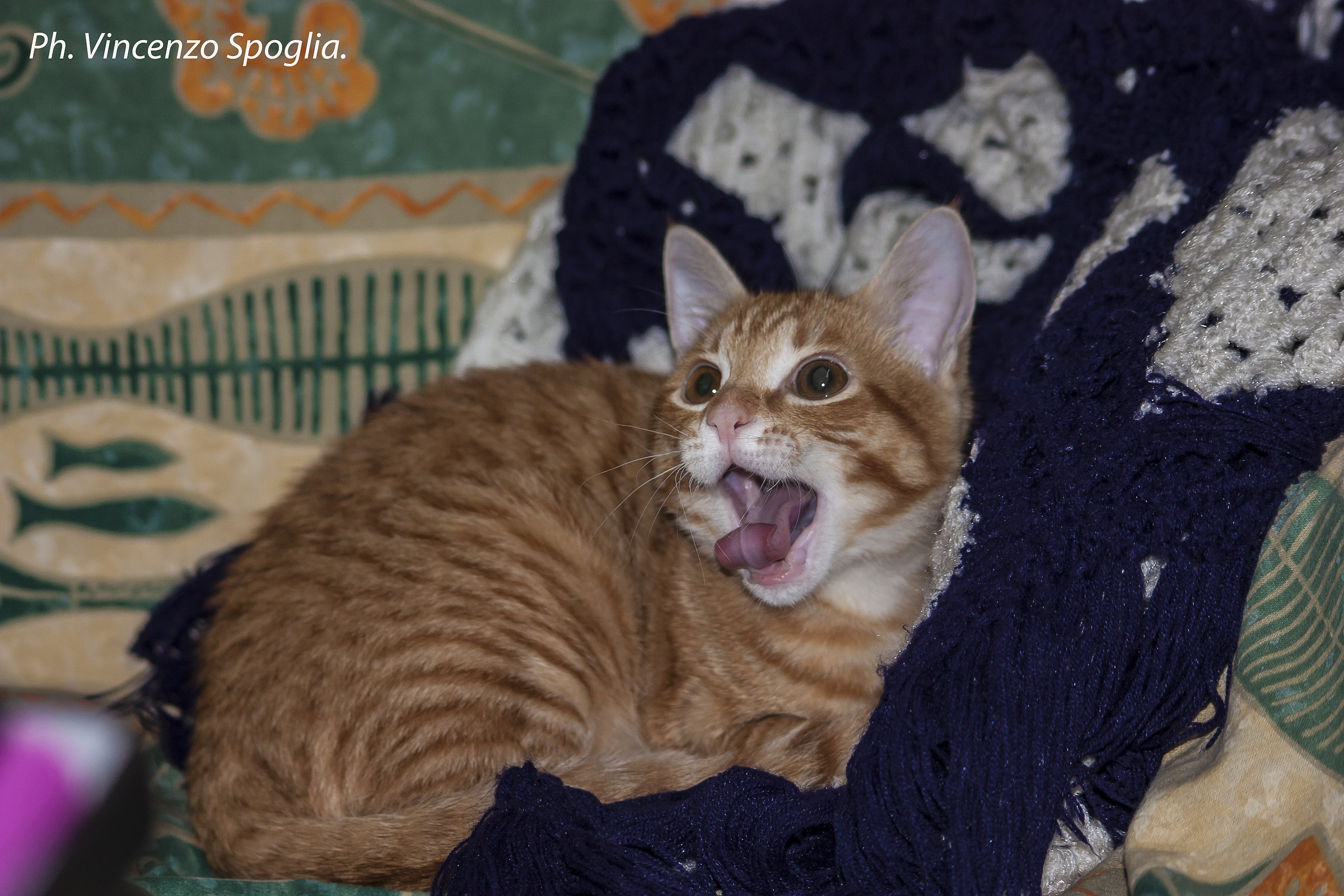 Tommy yawns