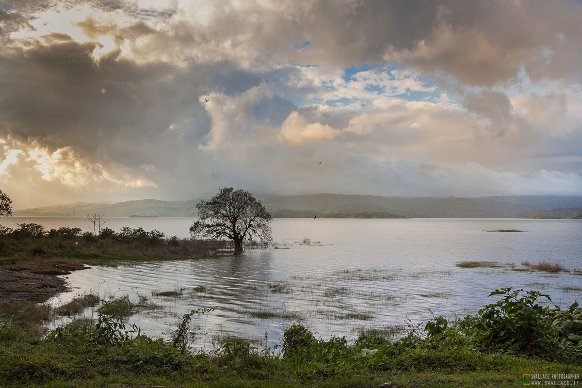 Arenal Volcano National Park