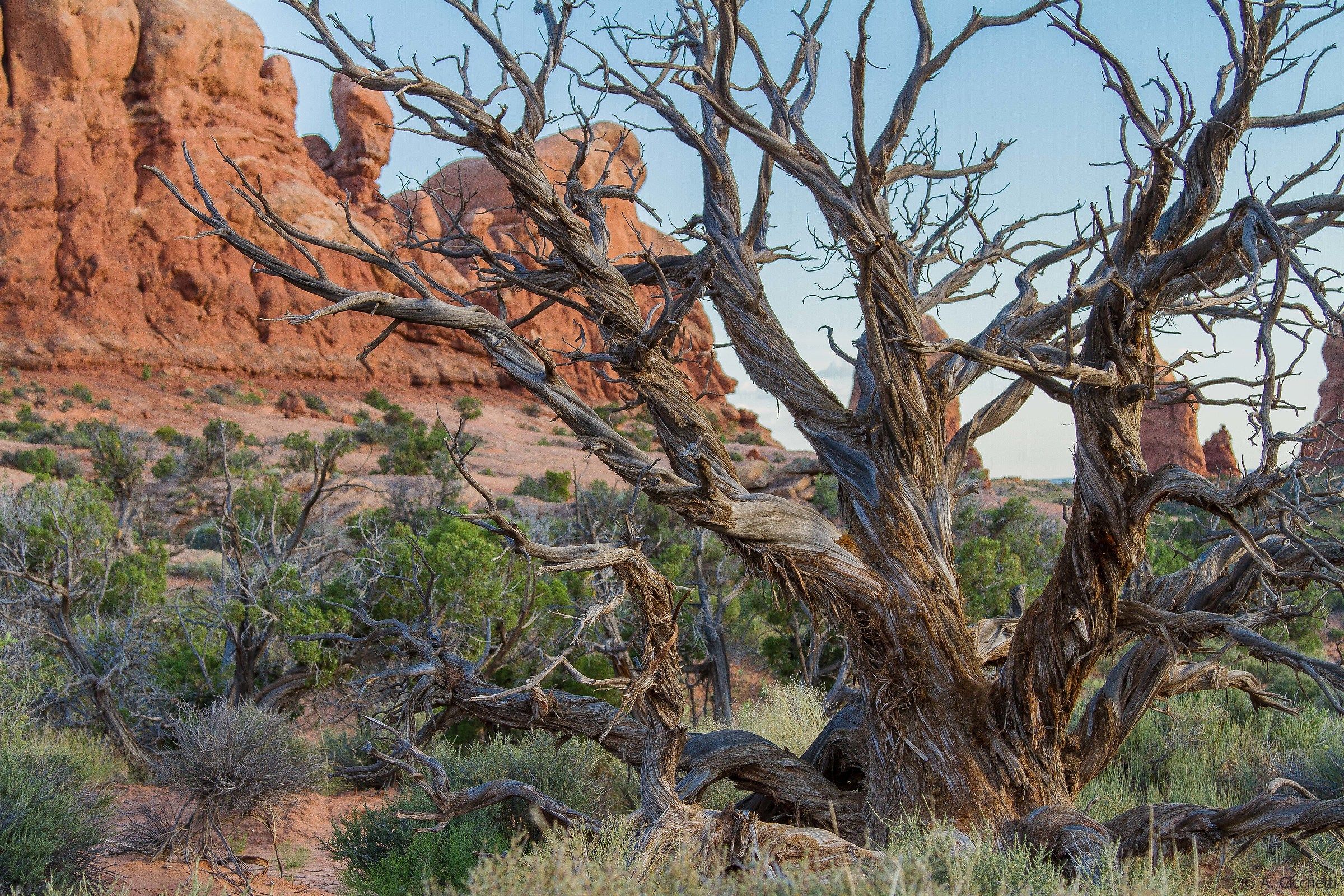 Arches National Park