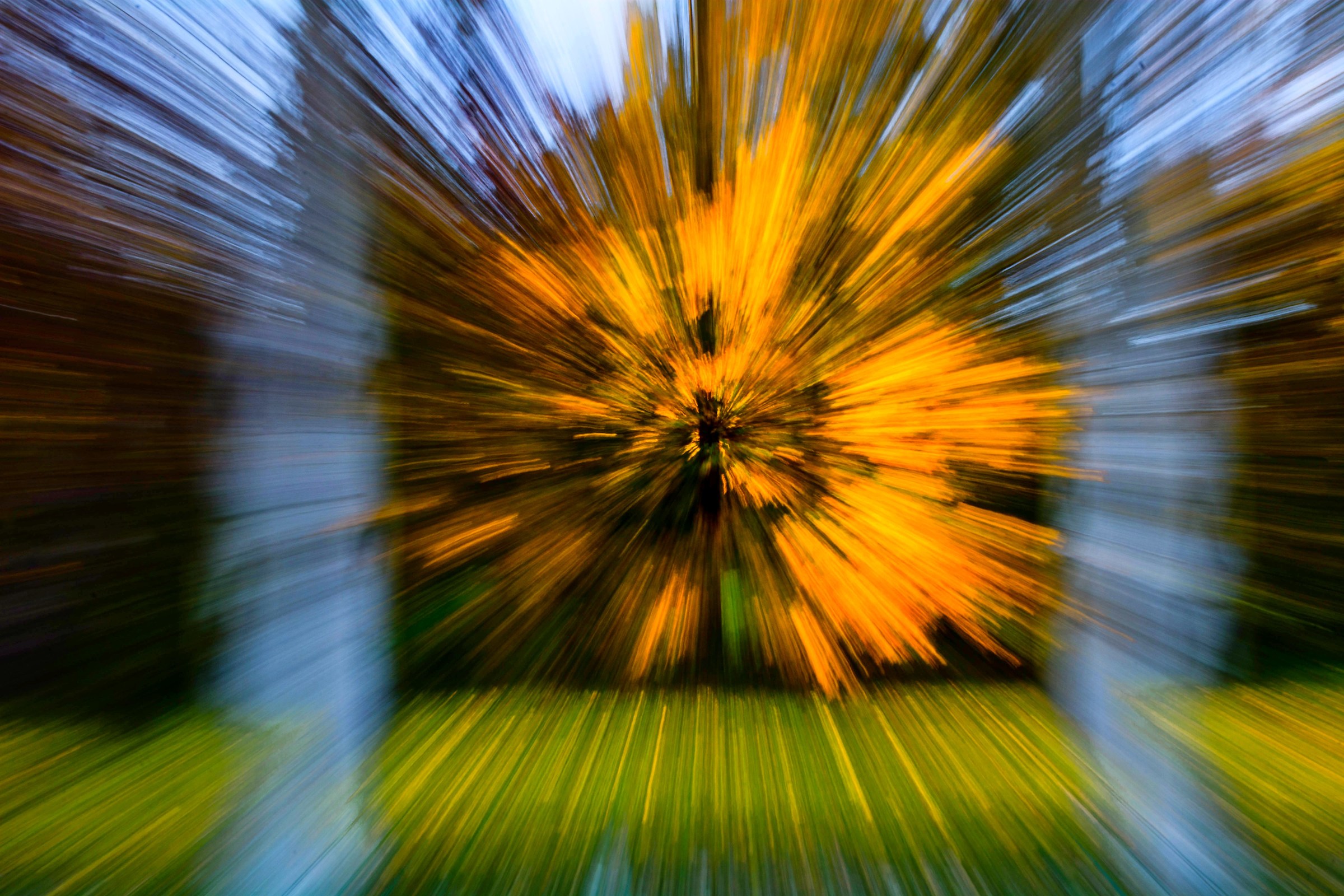 Autunno:un'esplosione di colori