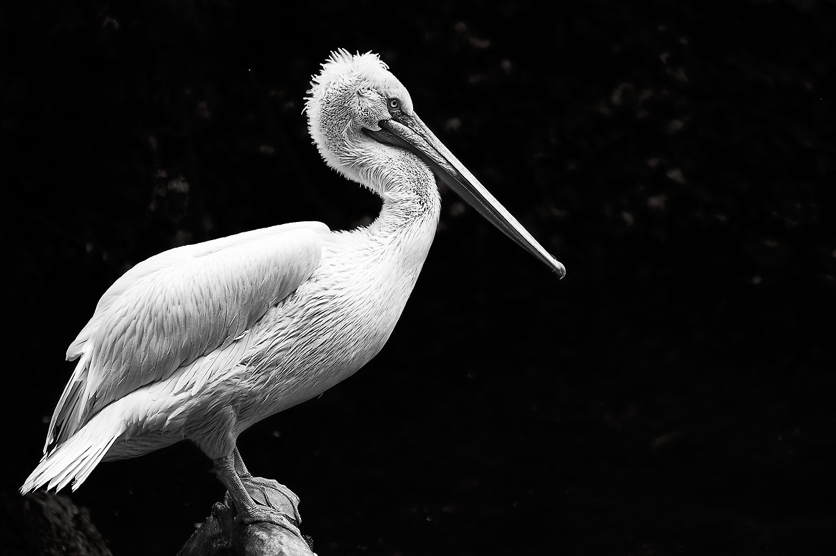 It's not my thing, but I liked this.