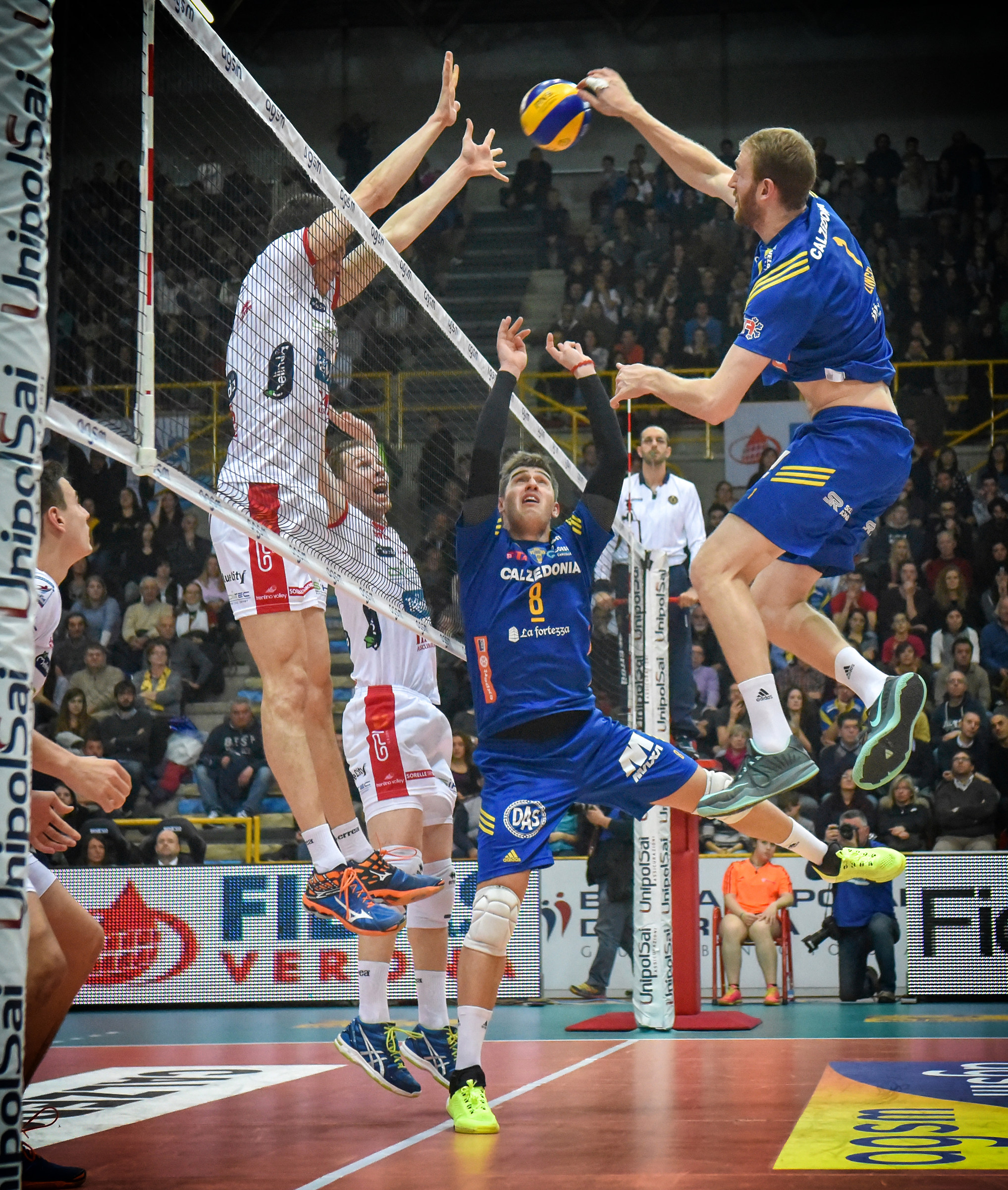 Calzedonia Verona - Diatec Trentino