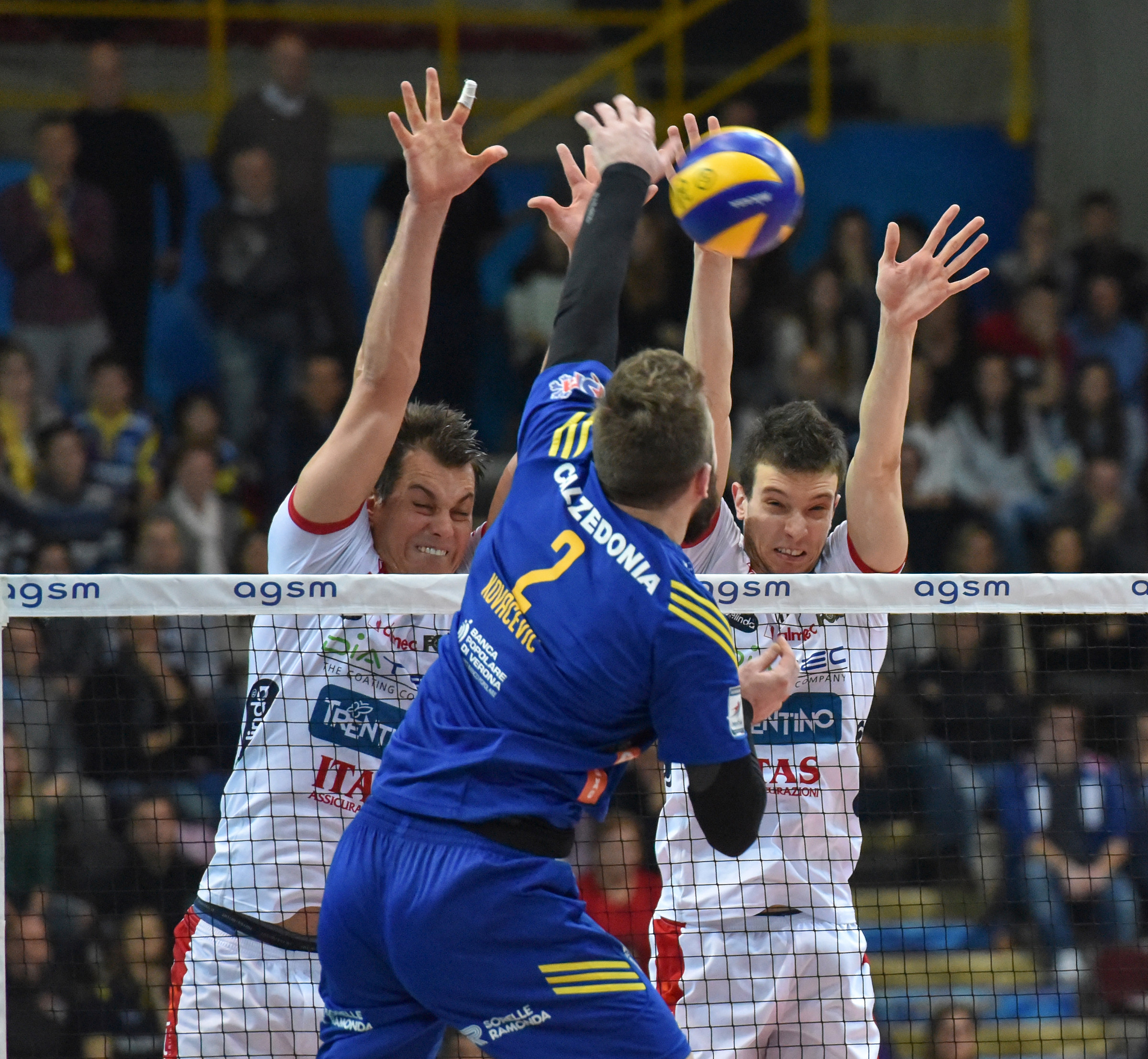 Calzedonia Verona - Diatec Trentino