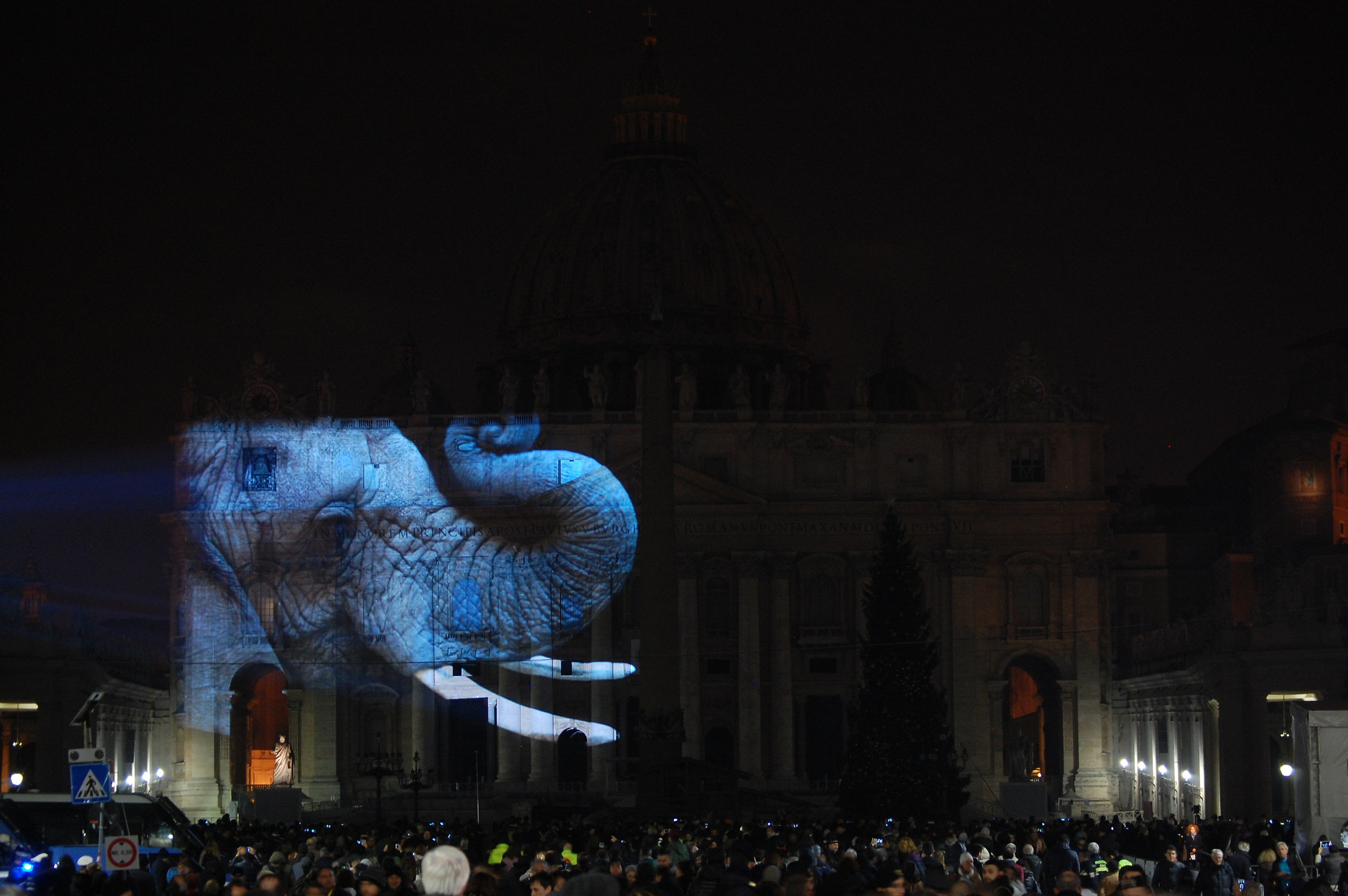 Fiat lux - Basilica di San Pietro 3 - Elefante