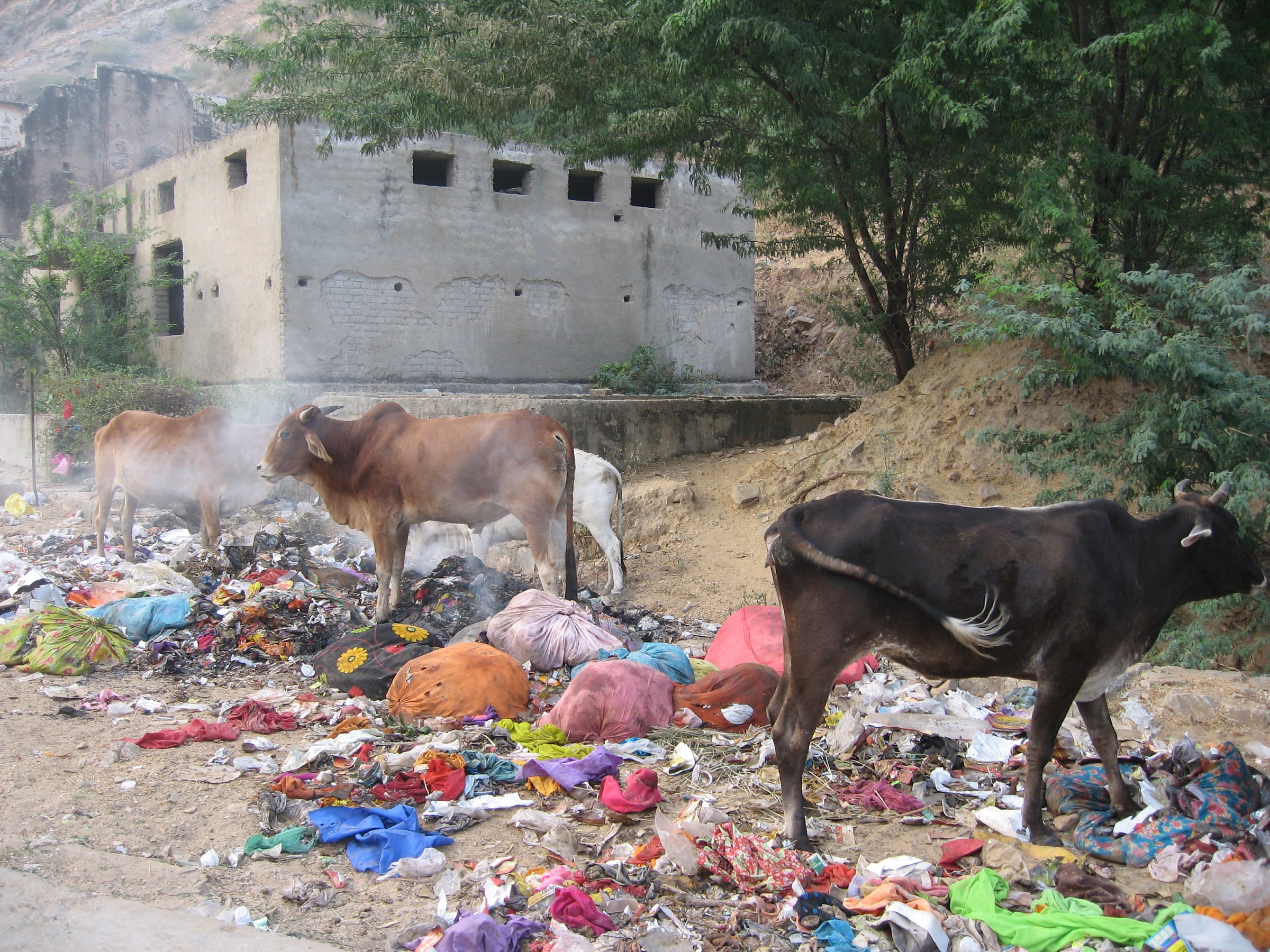 colori della povertà