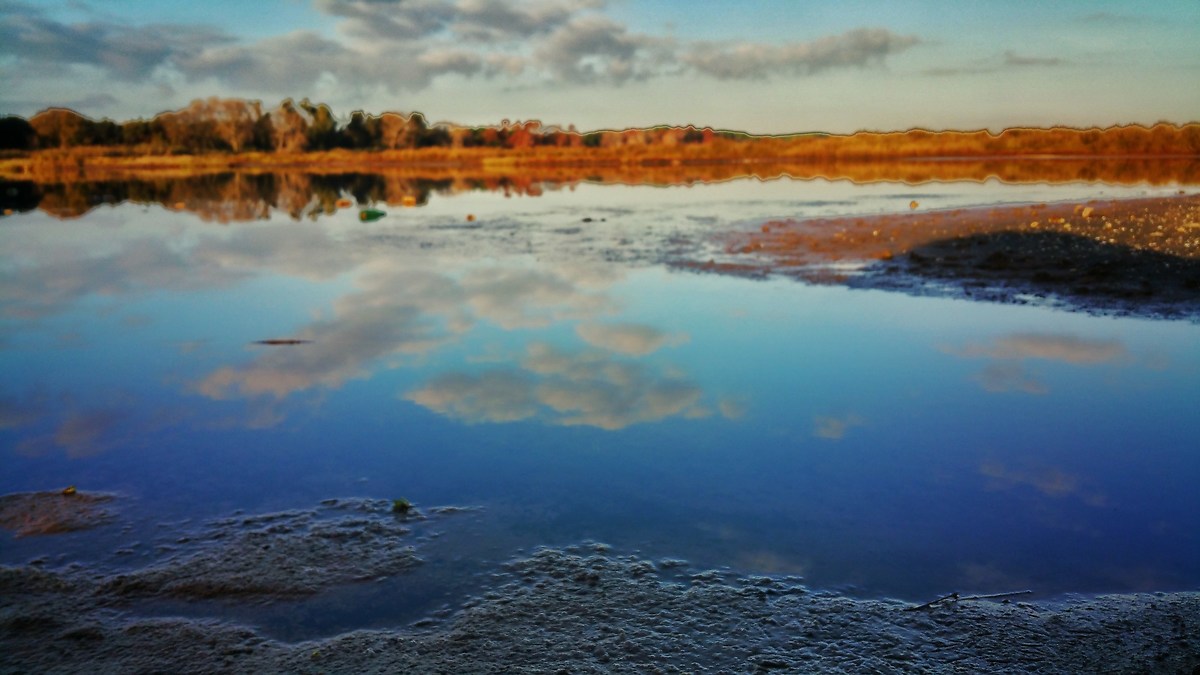 La palude, la nostra seconda casa ( Galaxy Note 4 )