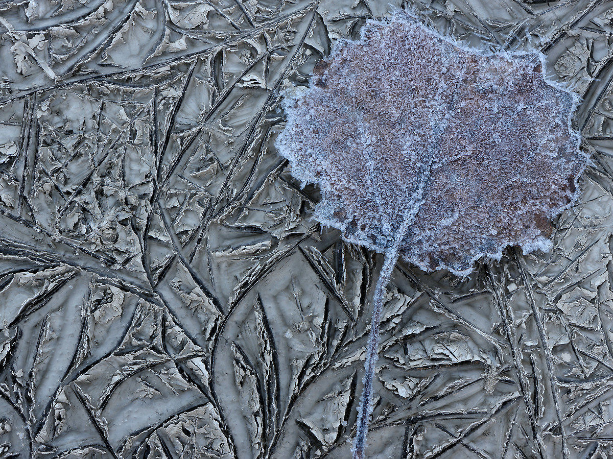 Grafismi below zero 2