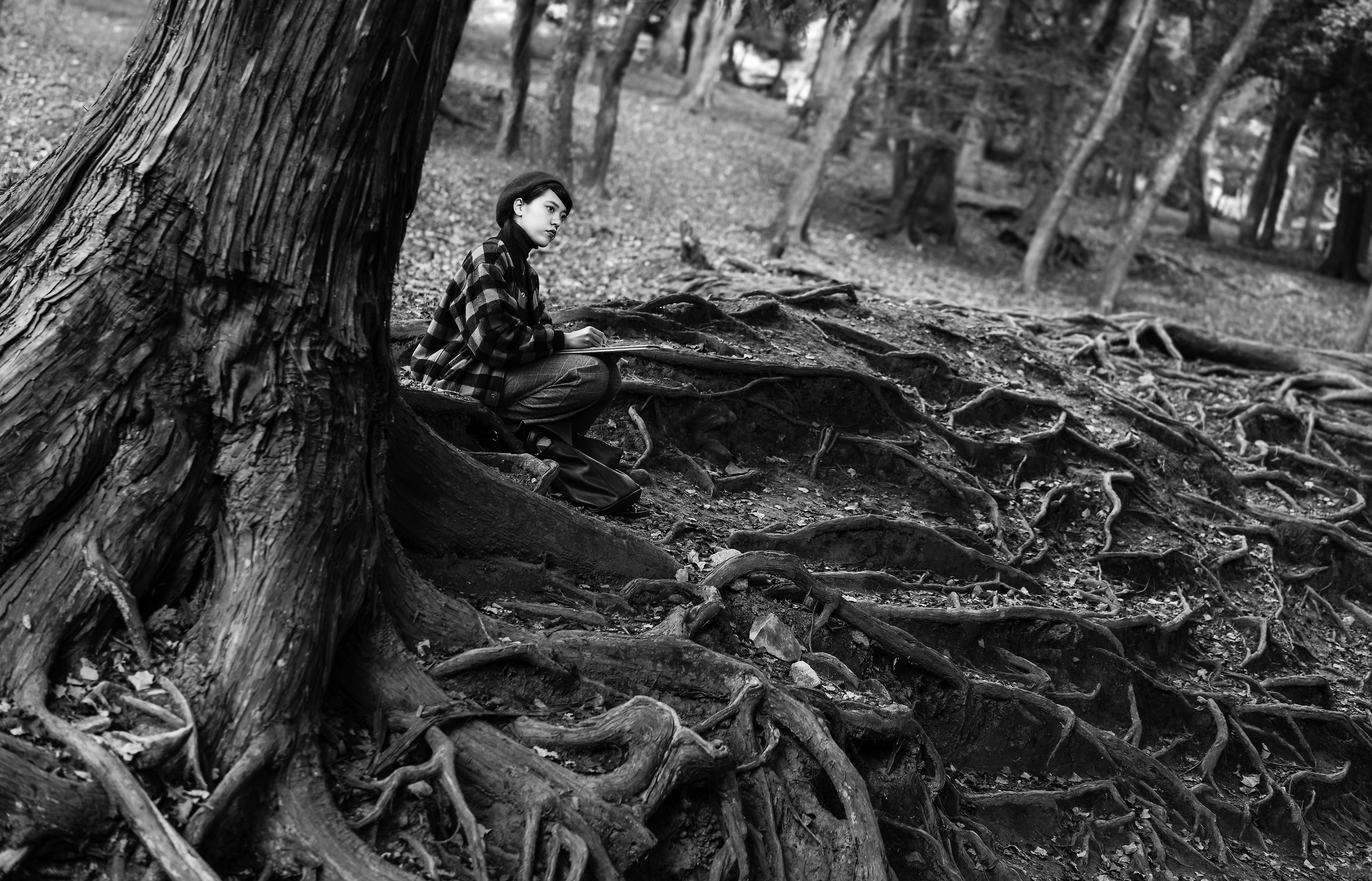 The painter of the East