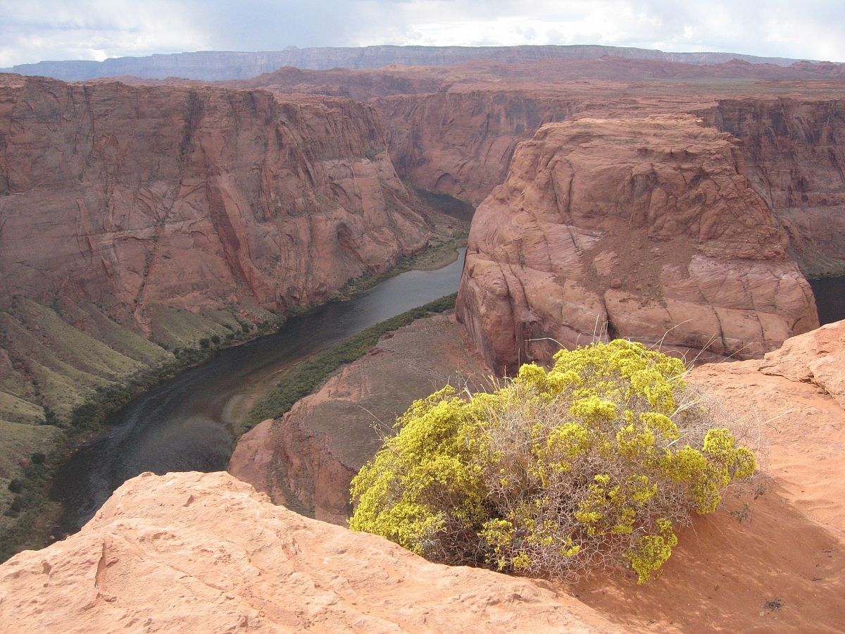 Horseshoe Bend - Colorado River, Arizona