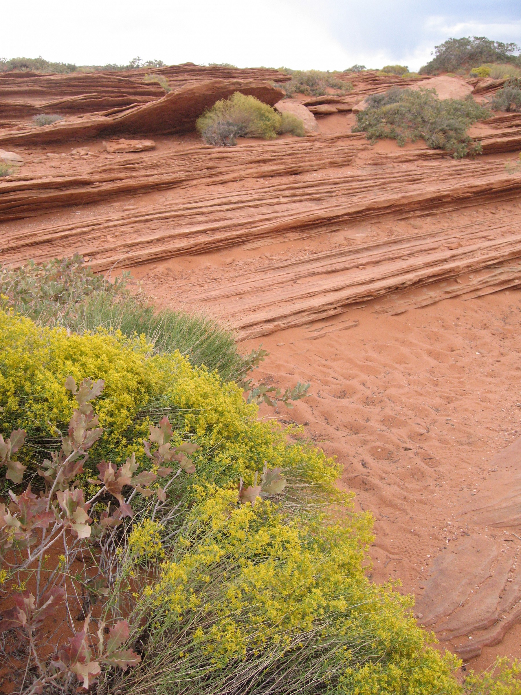 Horseshoe Bend - Colorado River, Arizona