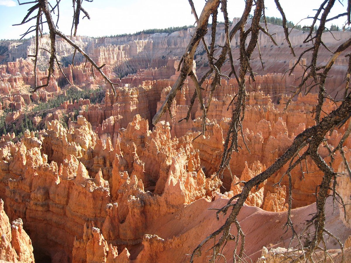 Bryce Canyon - Utah