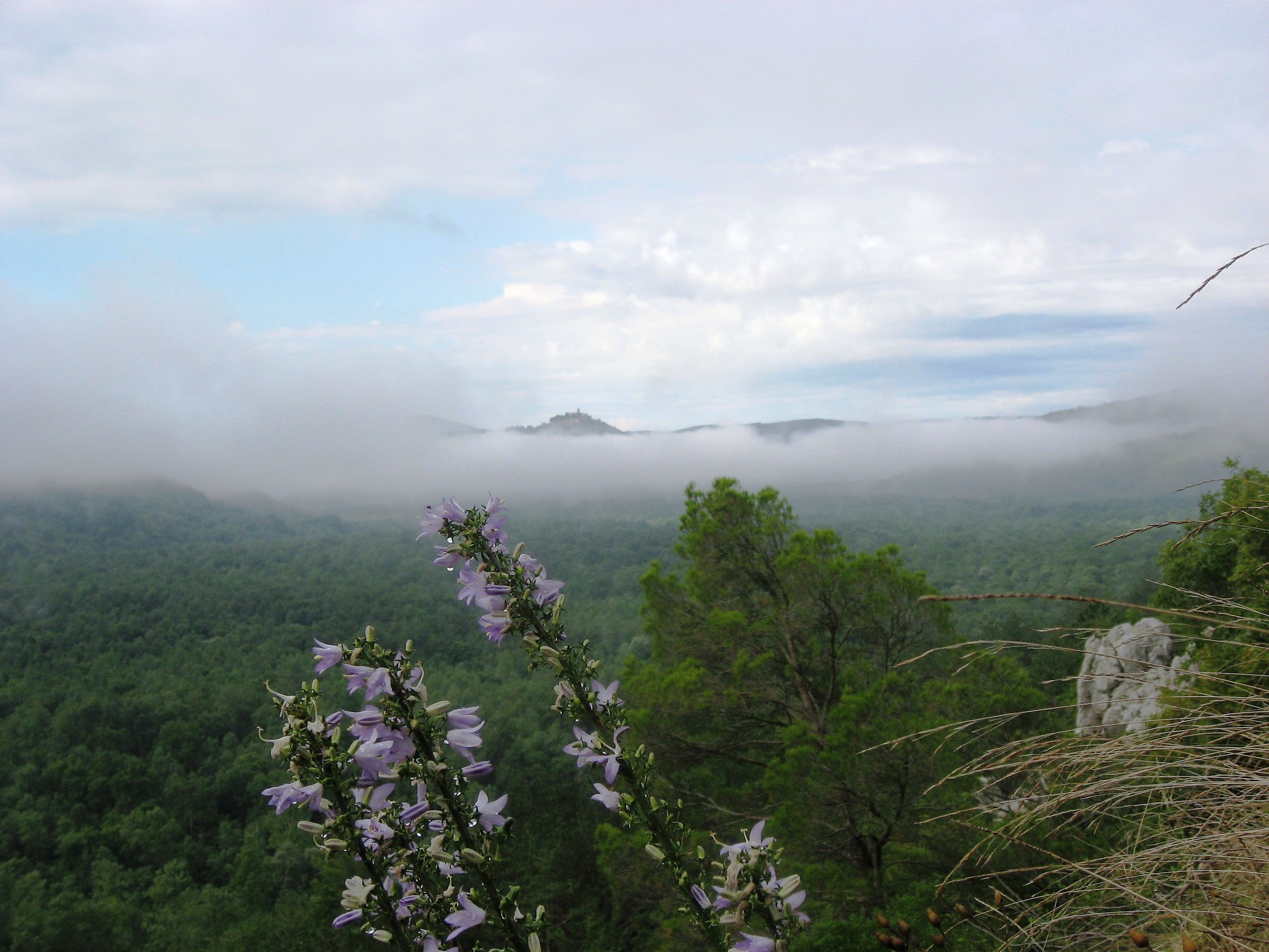 Motovun / Motovun in the clouds