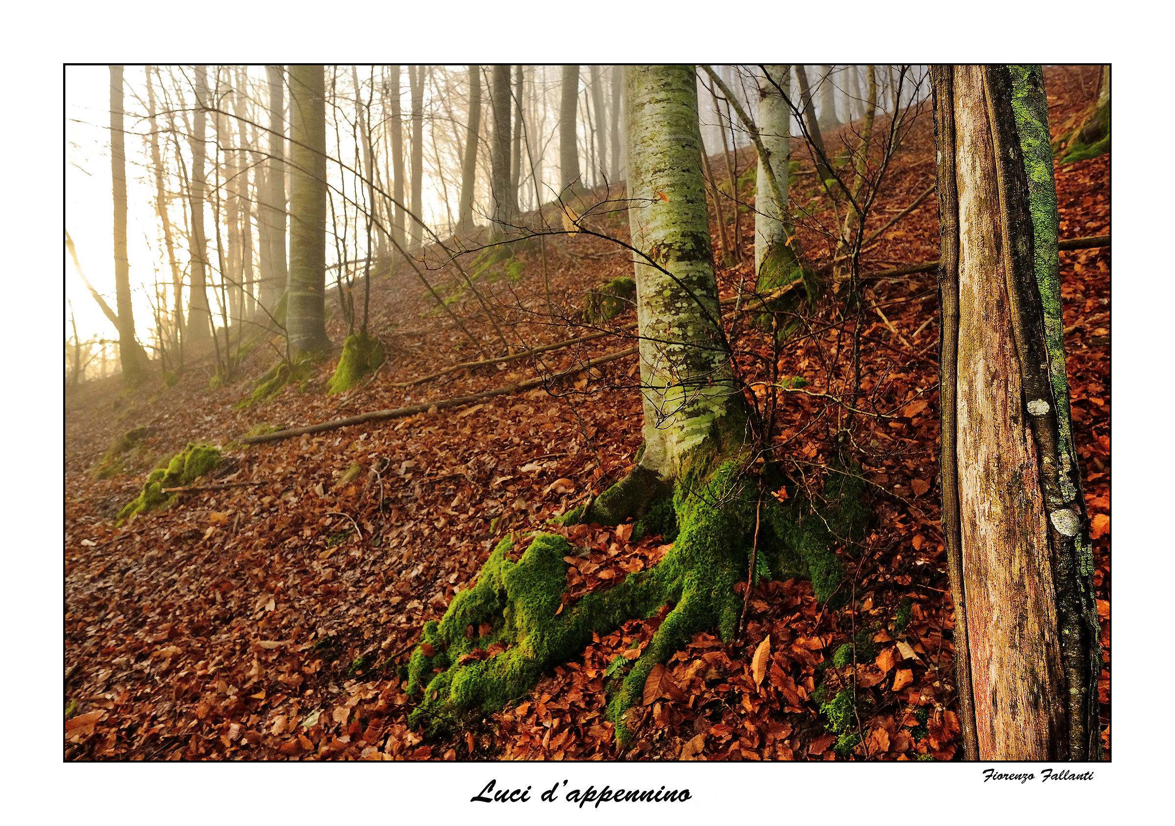 ...Luci d'appennino...