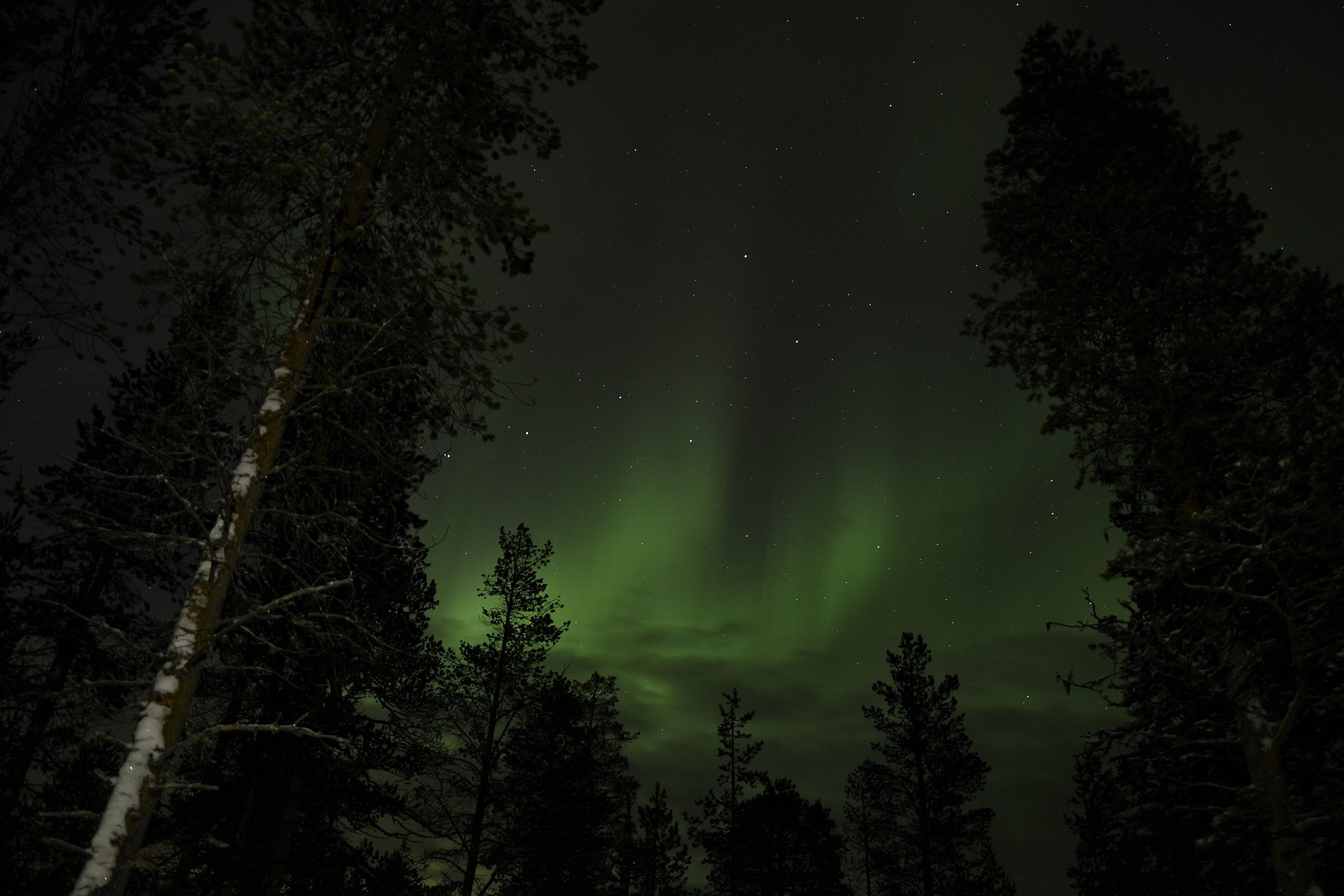Aurora a Saariselka