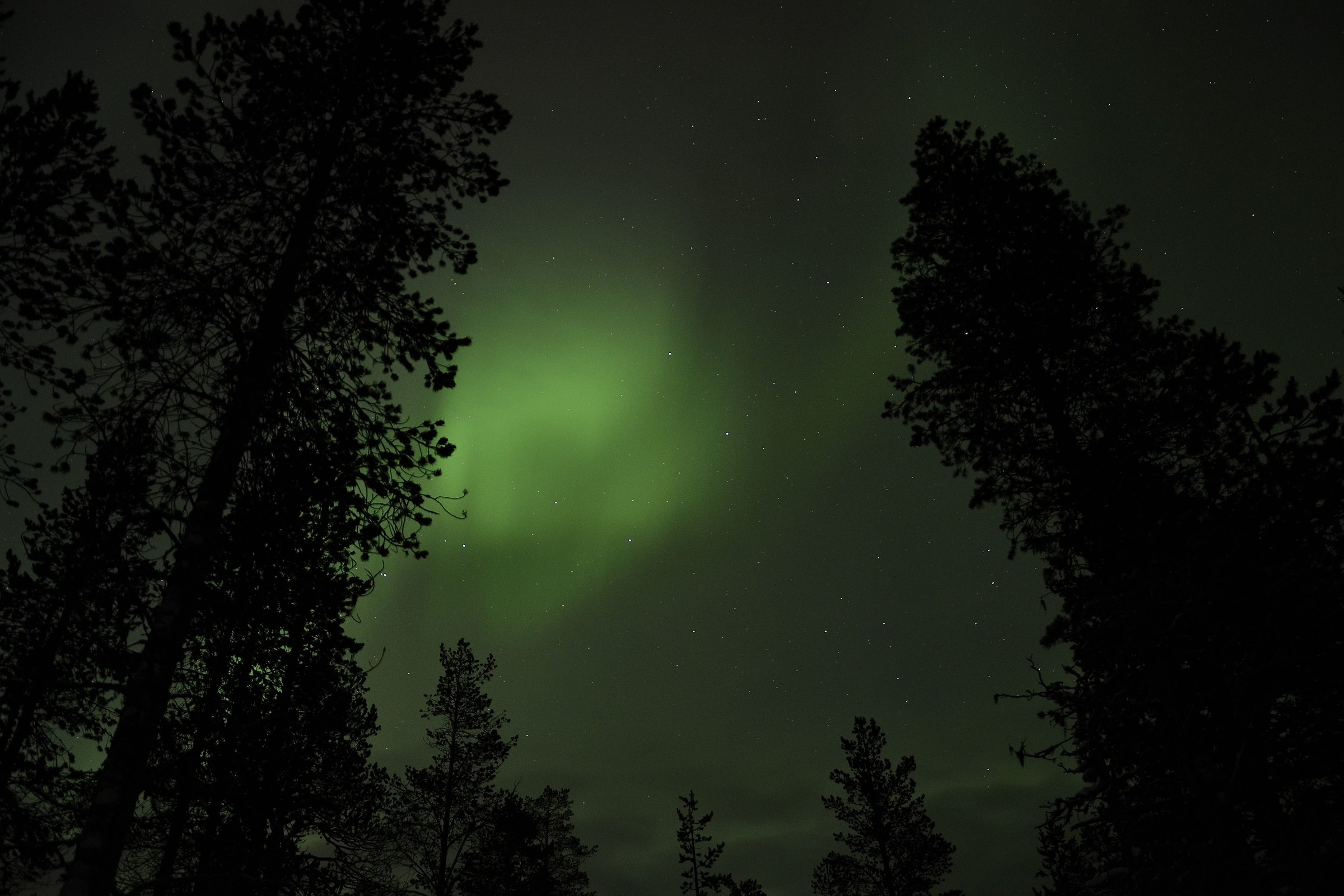 Aurora a Saariselka