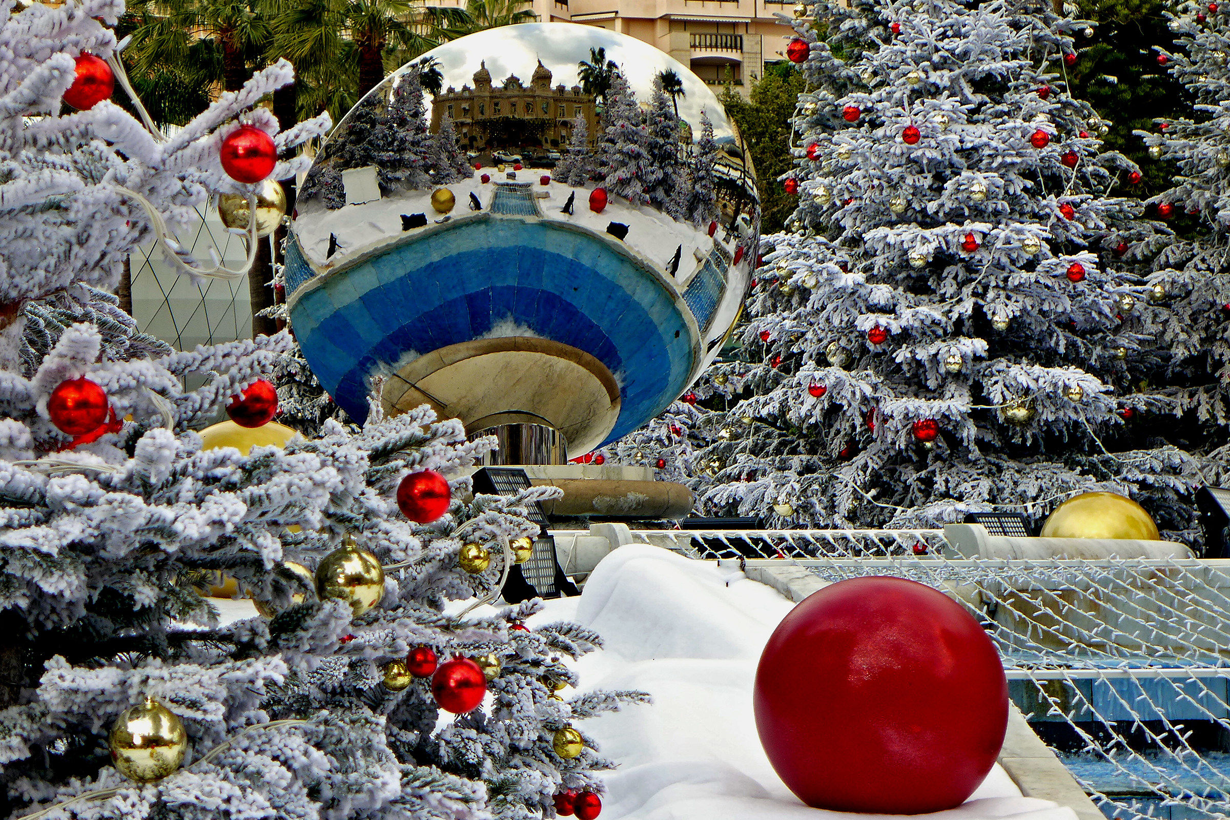 Christmas reflections