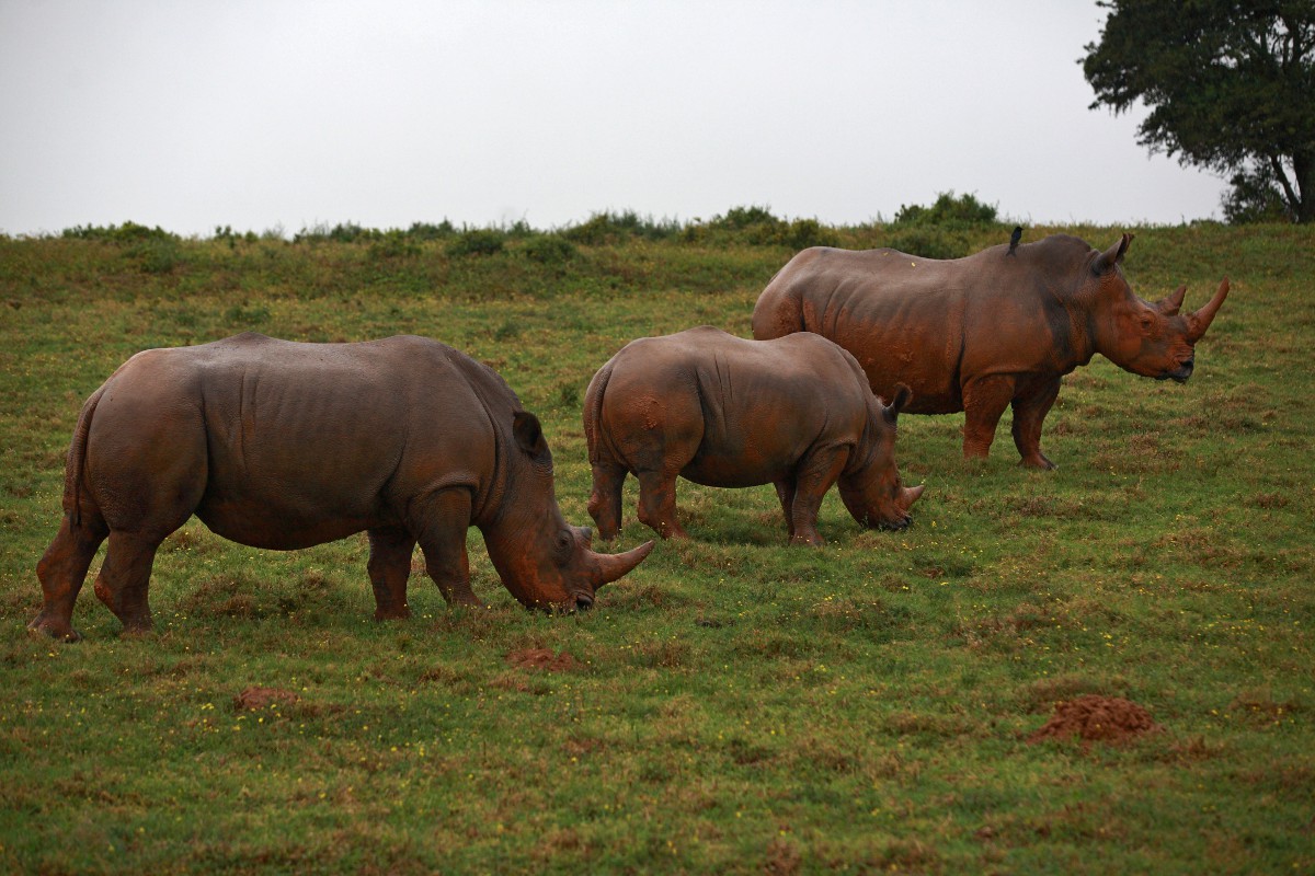 Between Mother and Father ...