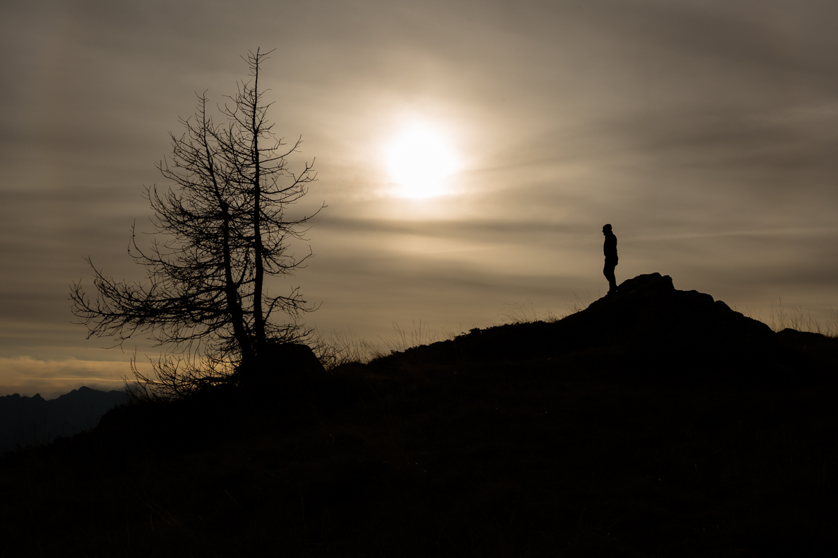 il sole l'albero e me