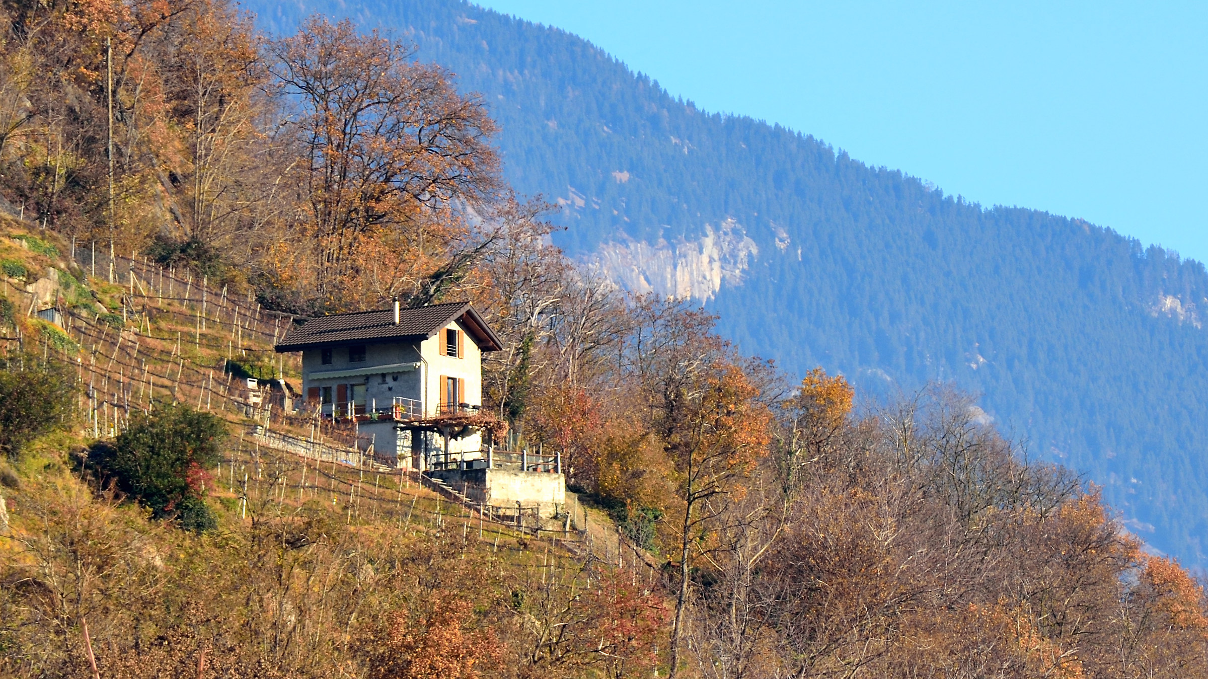 The House On The Slope