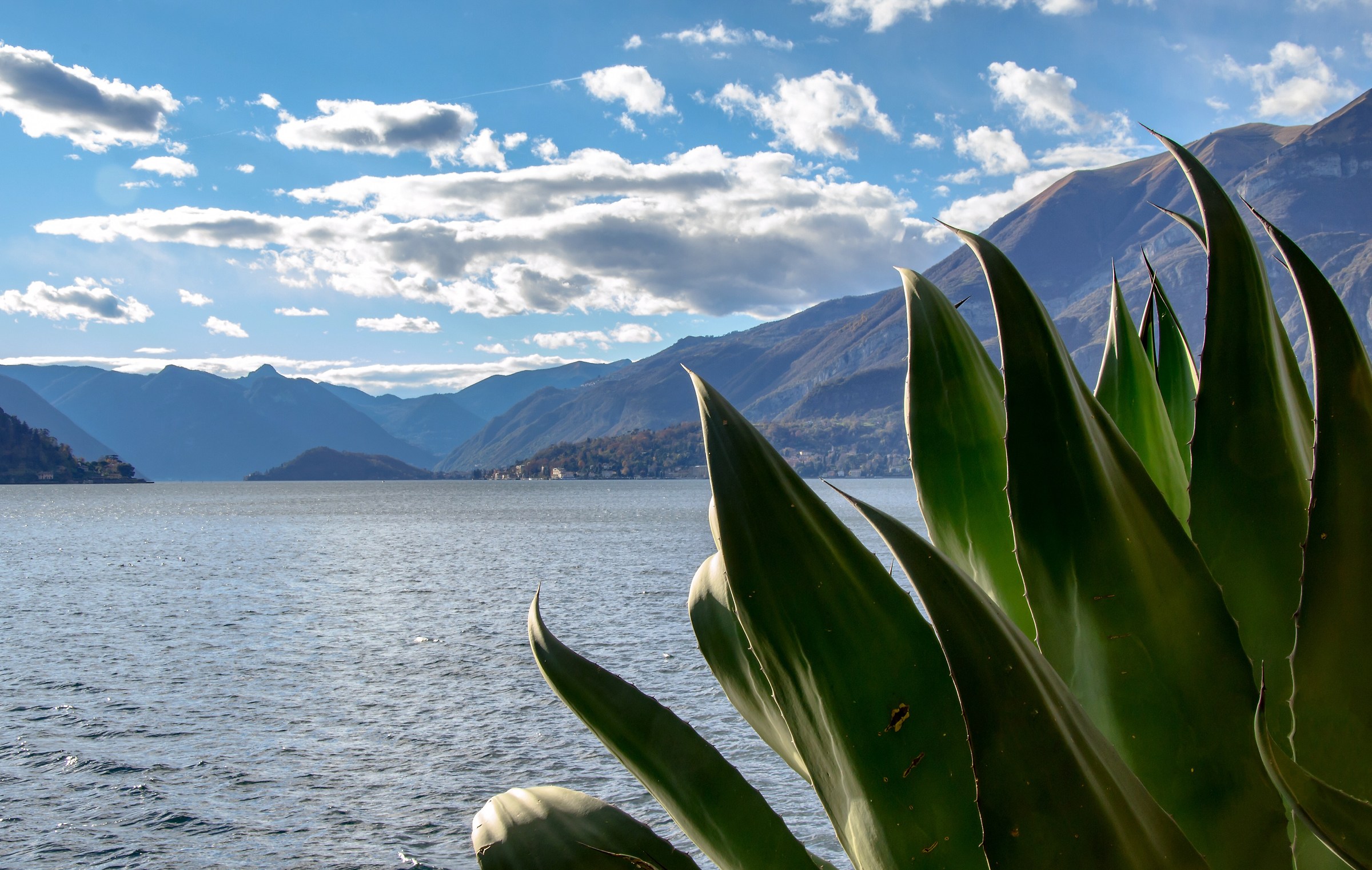 Villa Monastero - Varenna