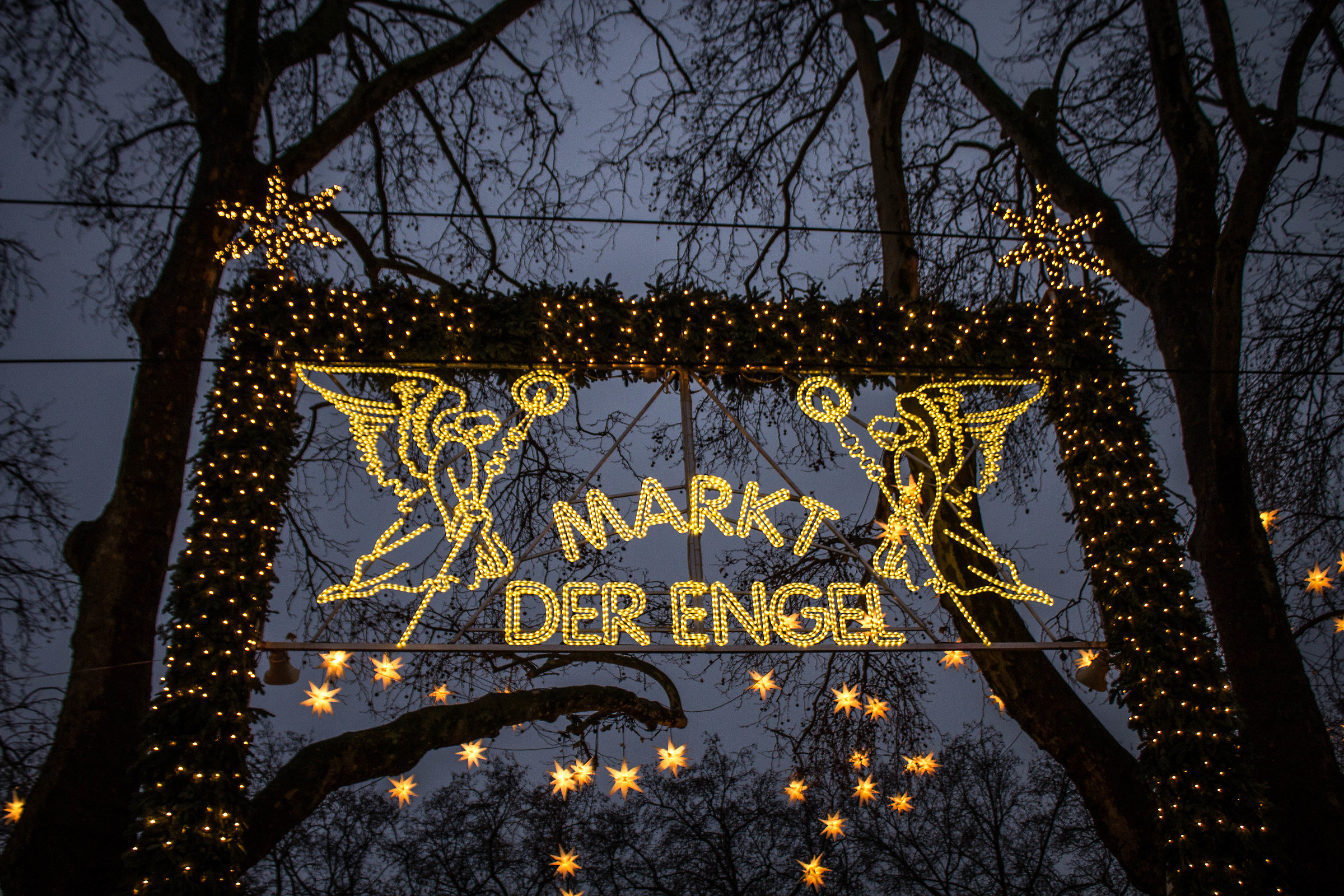 Colonia Novembre 2015