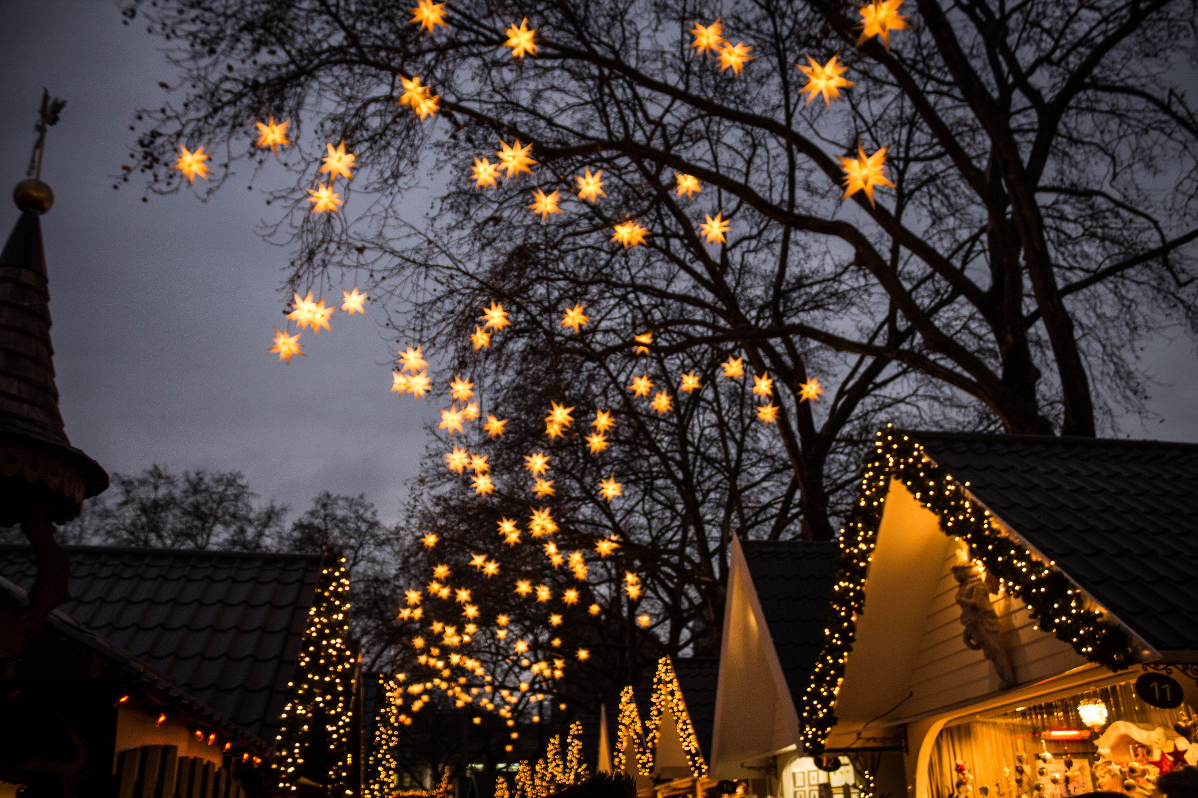 Colonia Novembre 2015