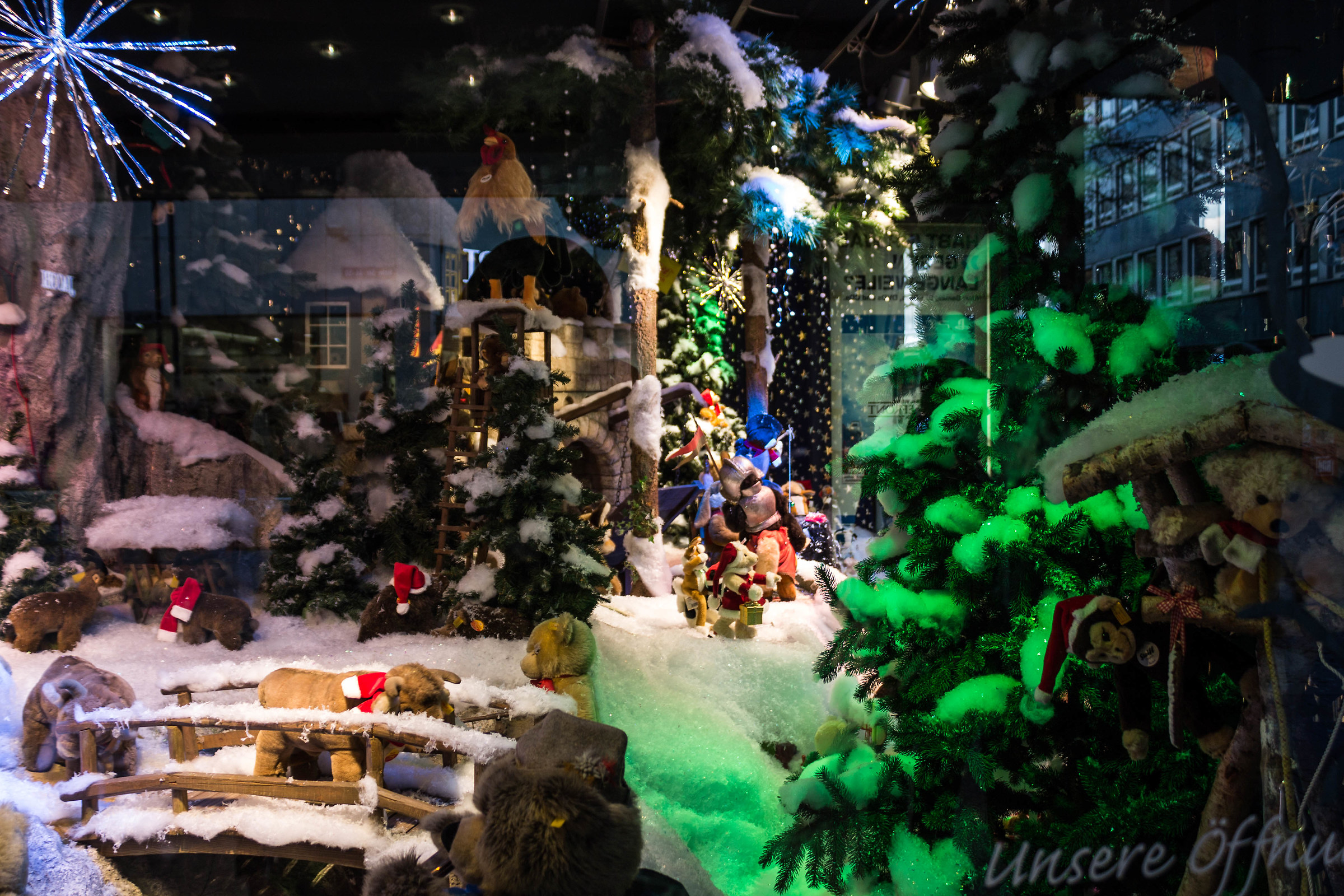 Colonia Novembre 2015