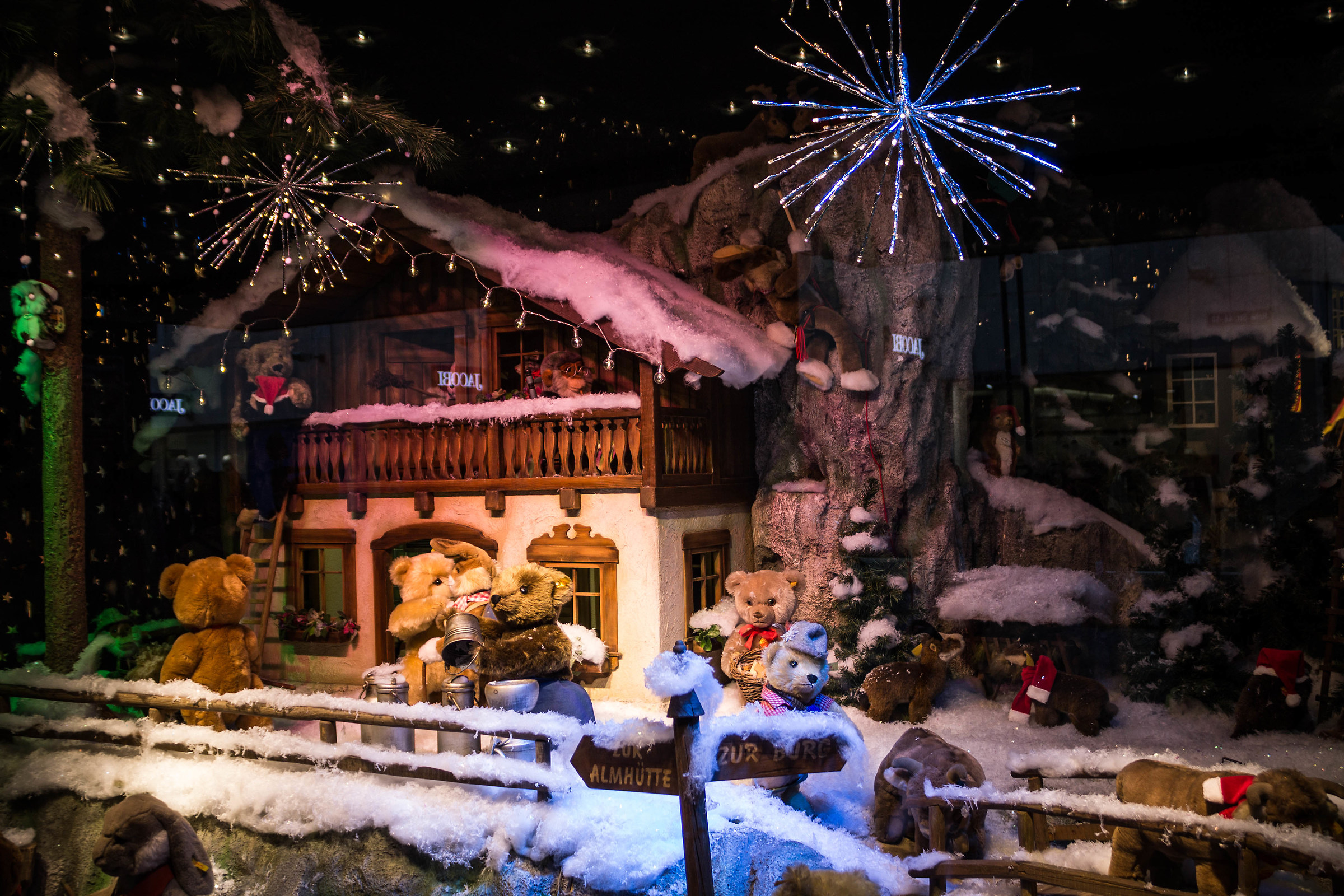 Colonia Novembre 2015