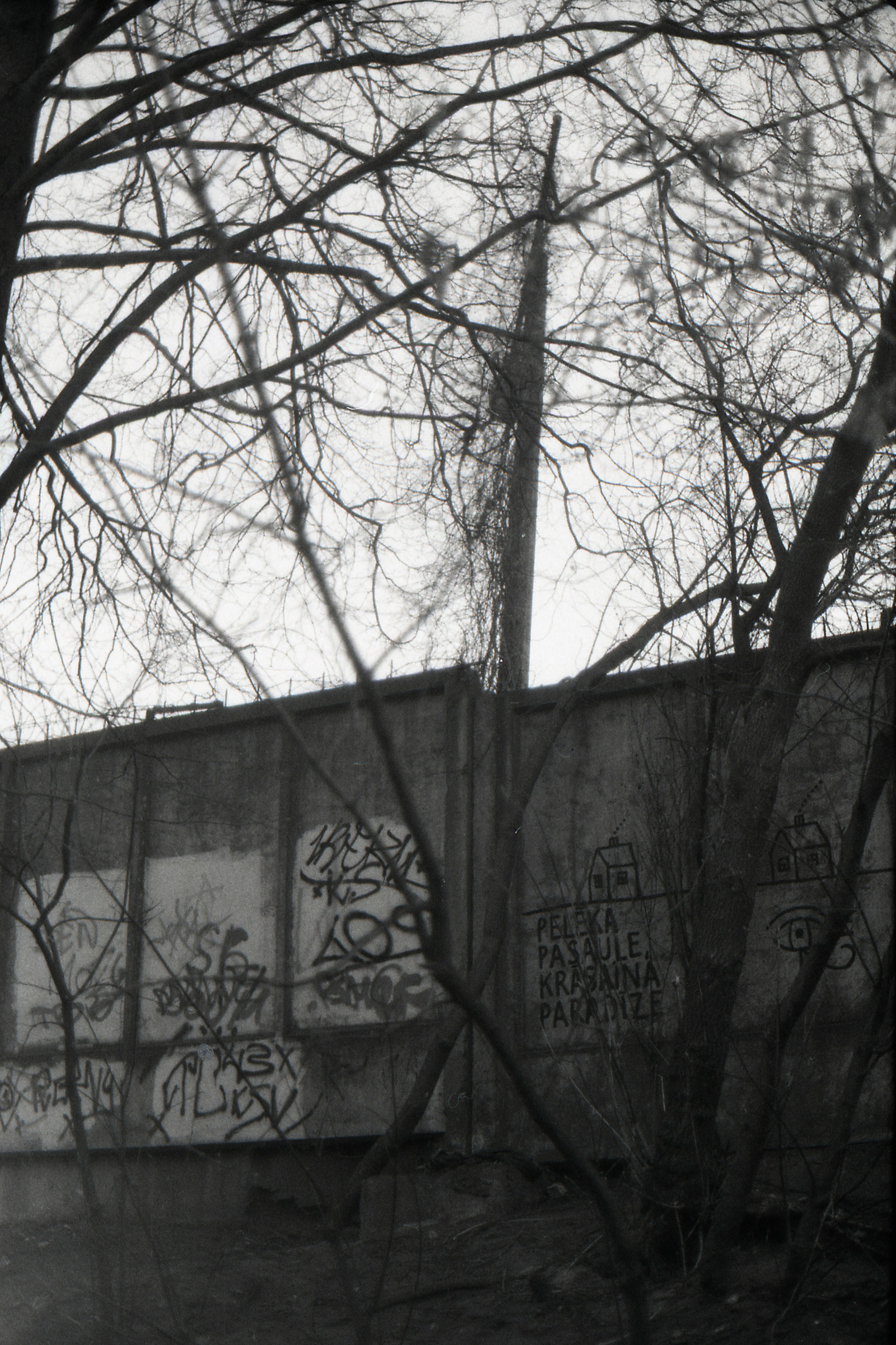 pallido mondo del colorato paradiso