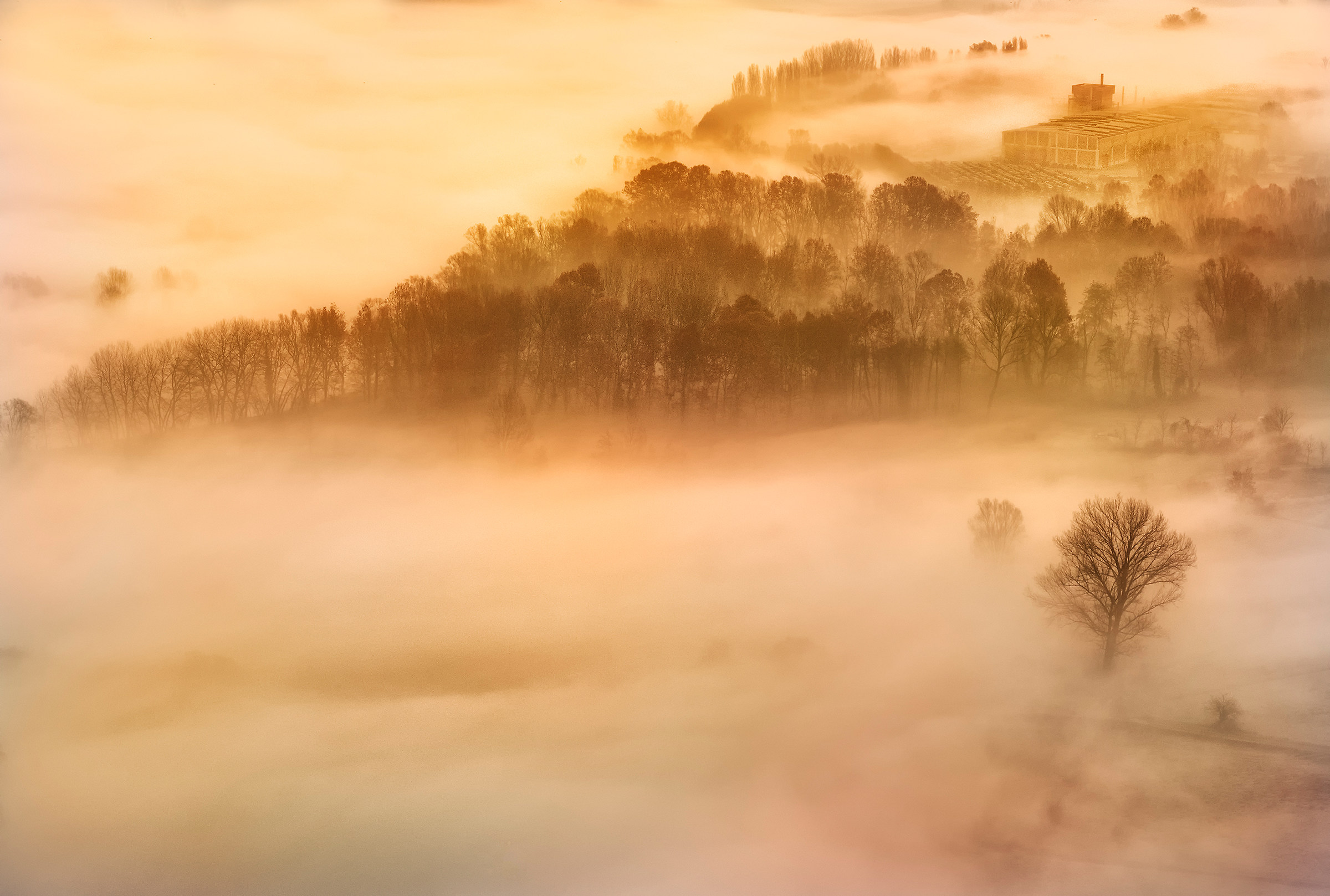 Mists of Lombardy