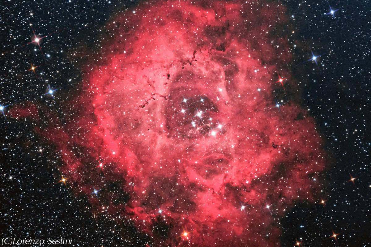 Rosette Nebula Ngc2237