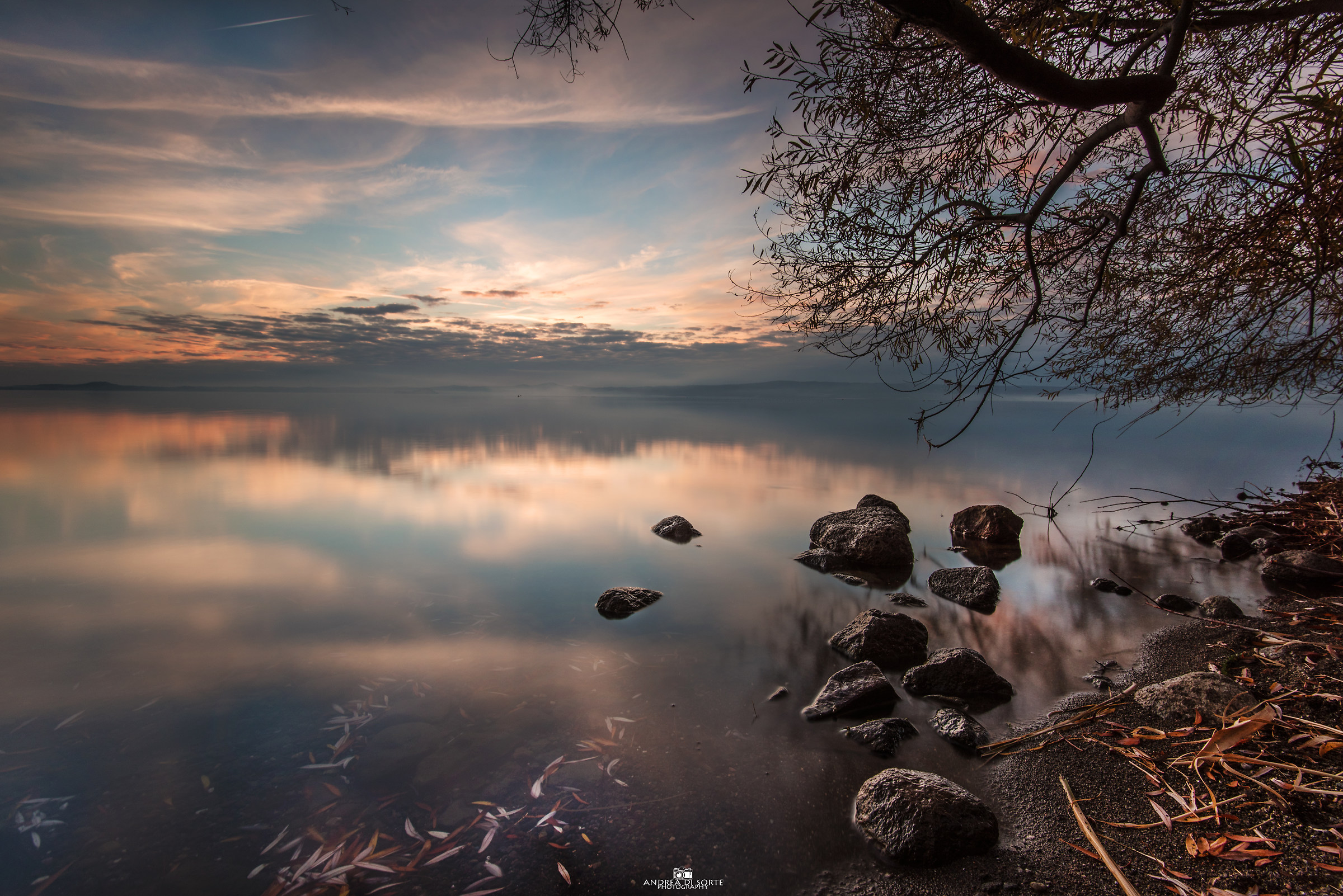 Stakeout landscaped ...